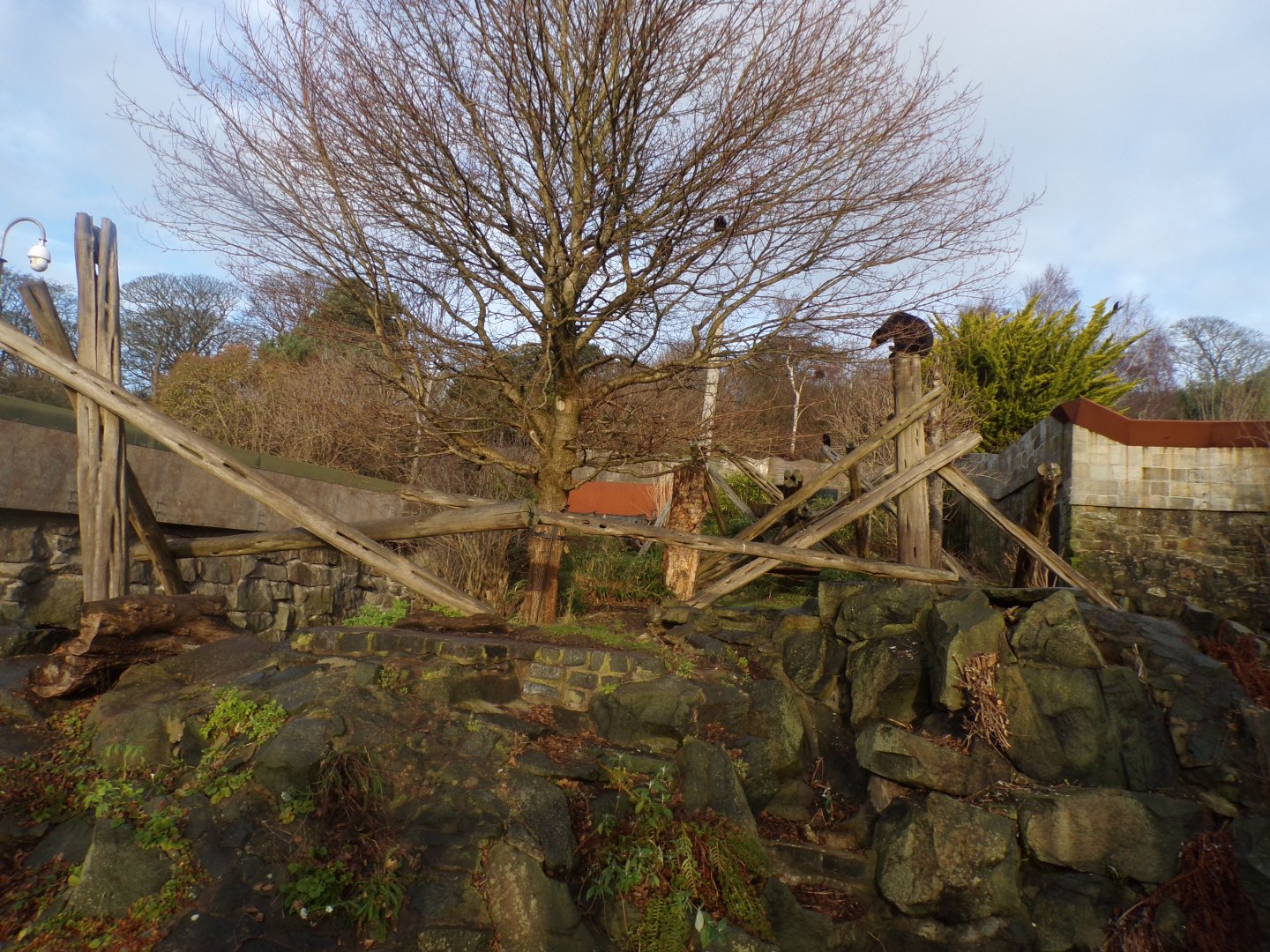 Sun bear enclosure 13.1.24