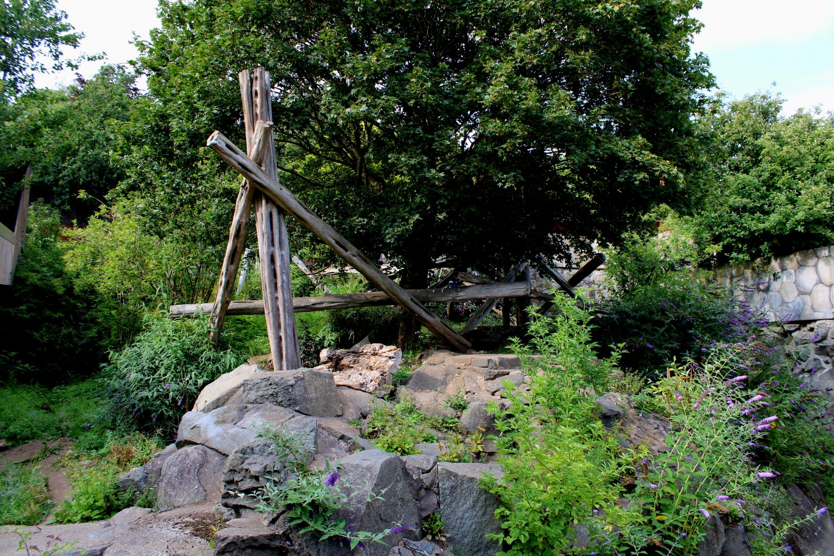 Sun Bear Enclosure - 26/07/25