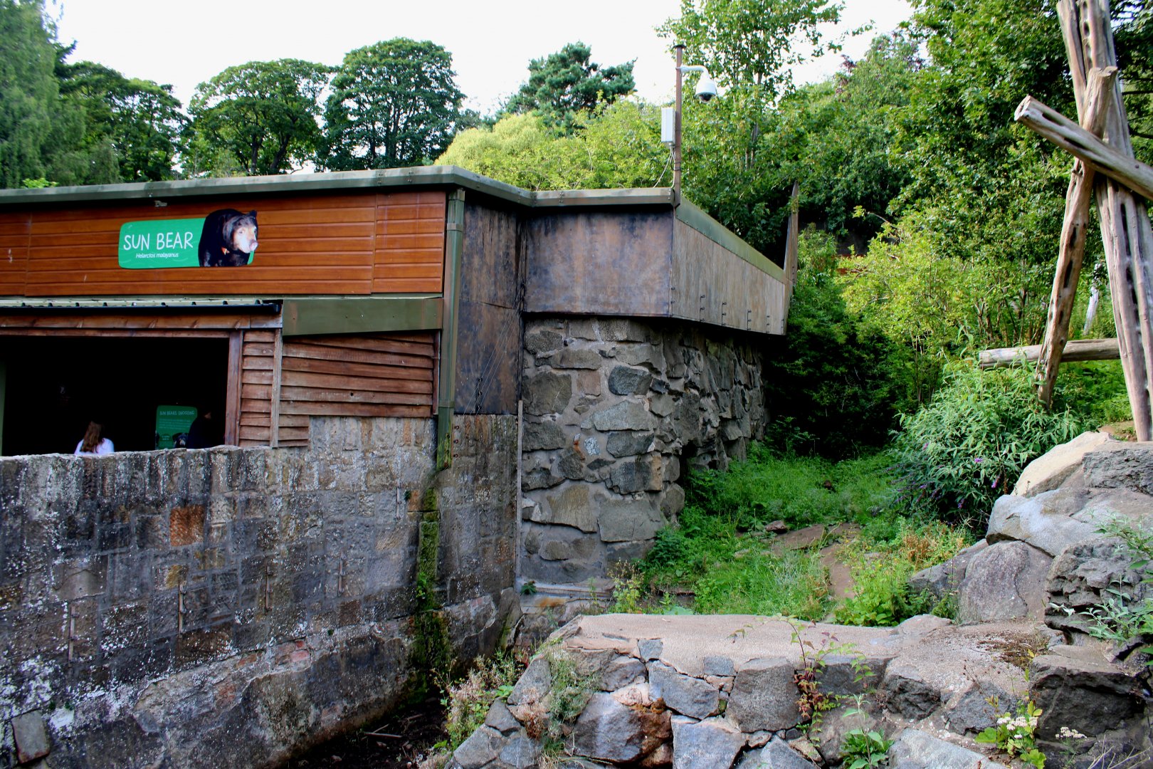 Sun Bear Enclosure - 26/07/25