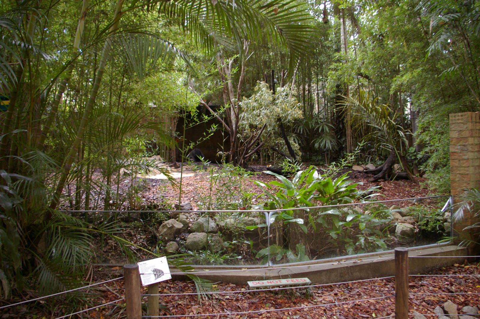 sun bear enclosure, Alma Park Zoo