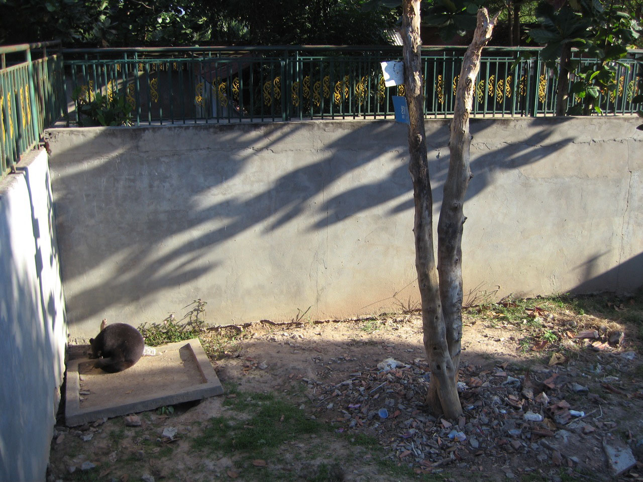 Sun Bear enclosure, Angkor Zoo - 2005