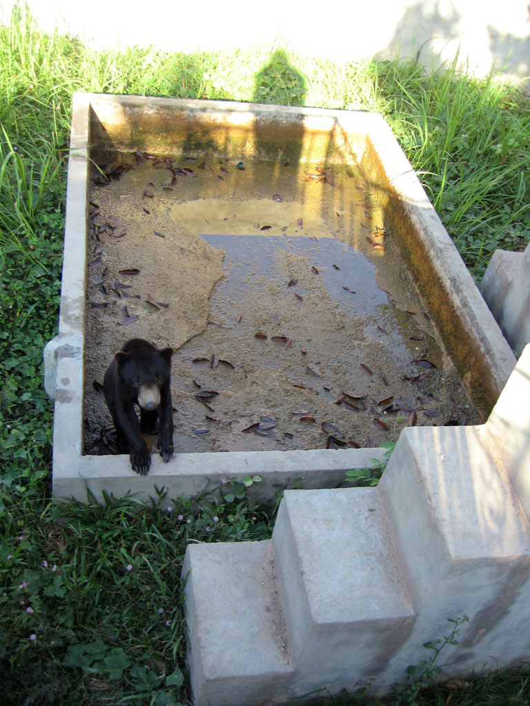 Sun Bear enclosure, Angkor Zoo - 2005