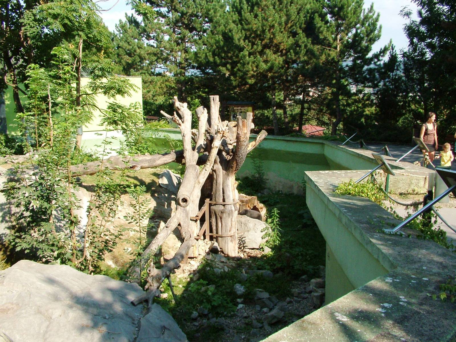 Sun Bear Enclosure at Usti, 29/08/12