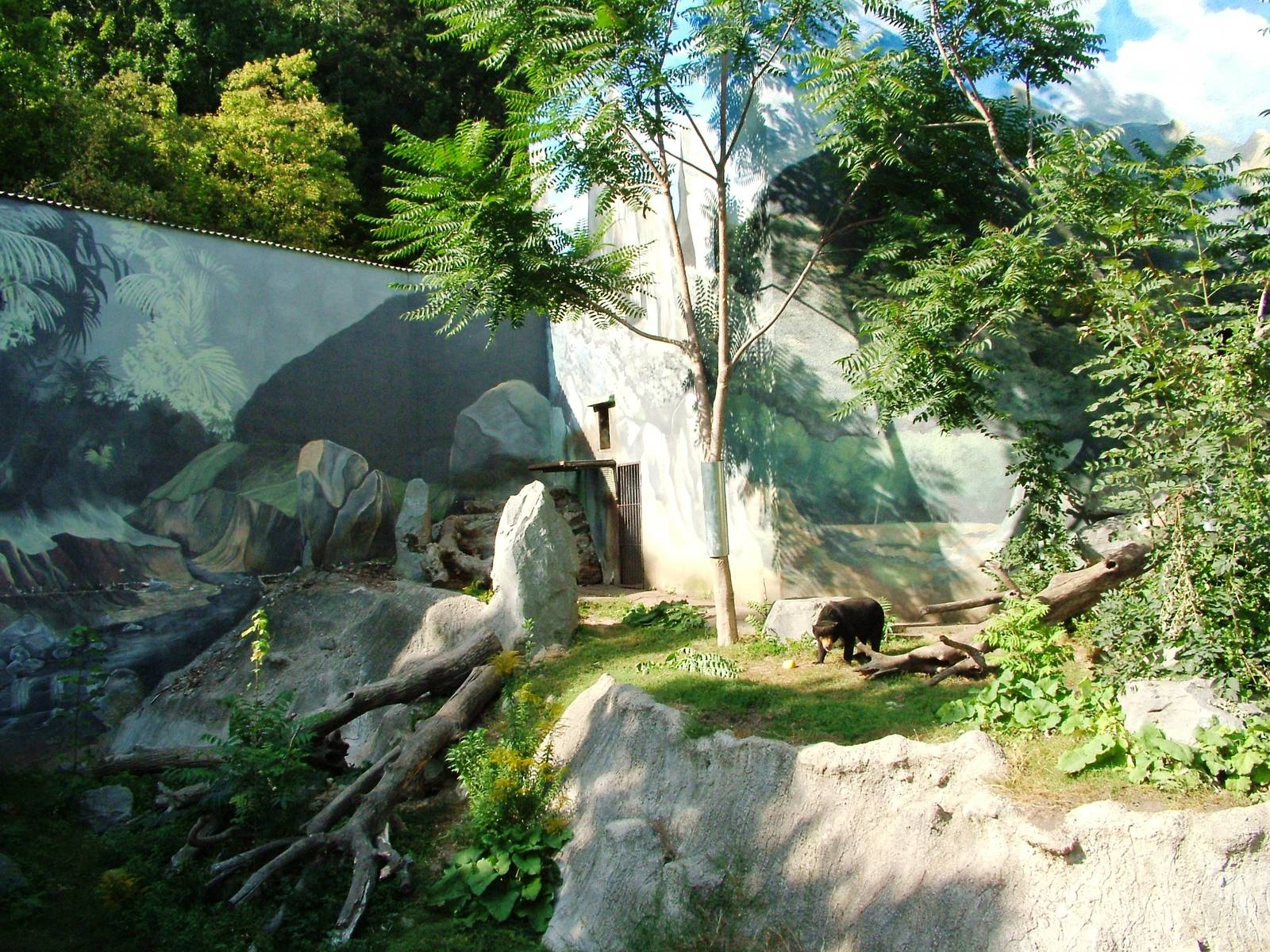 Sun Bear Enclosure at Usti, 29/08/12