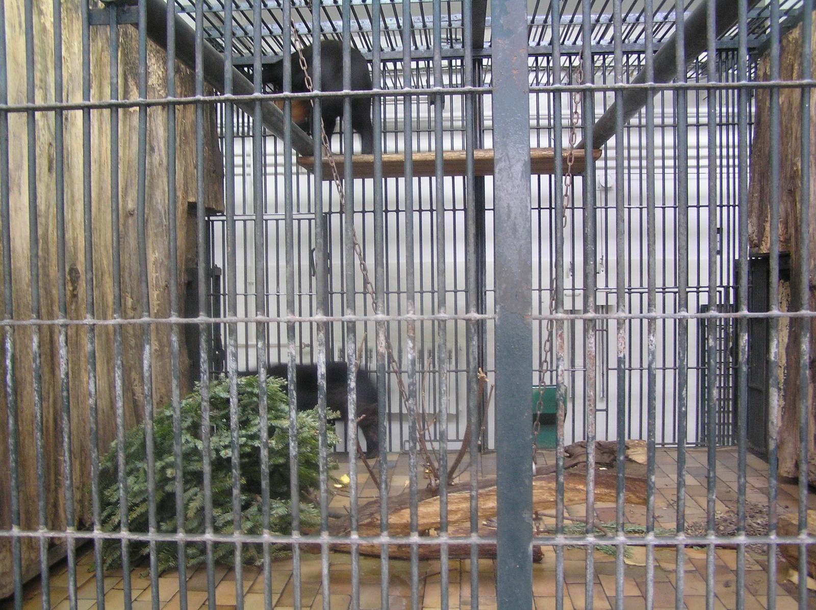 Sun bear enclosure - Berlin tierpark 07