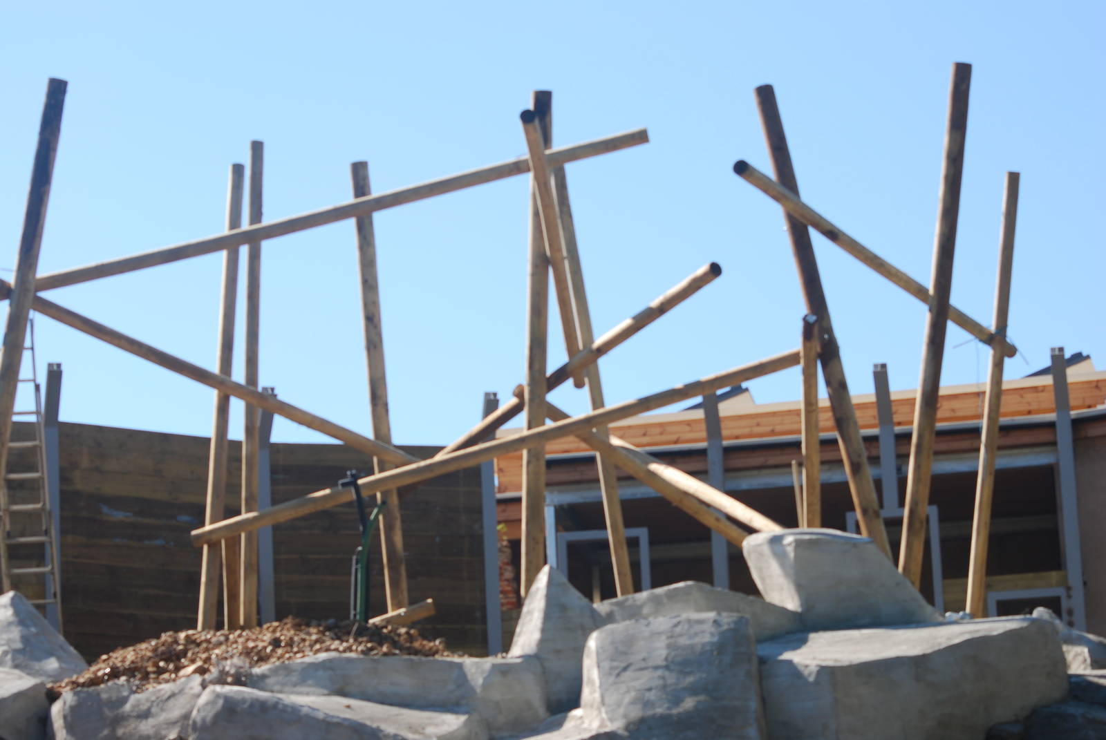 Sun bear enclosure construction