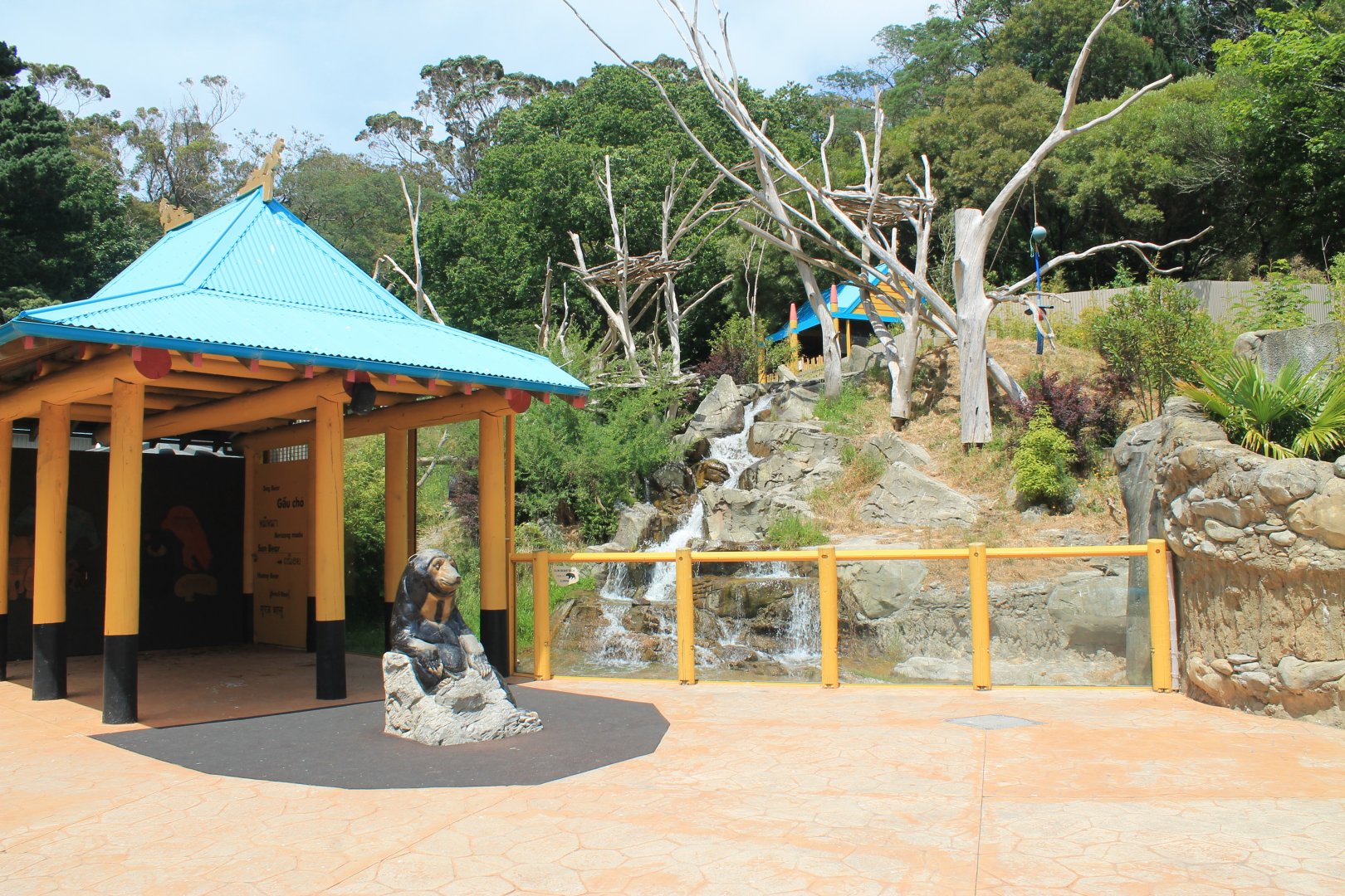 Sun Bear enclosure (front view)