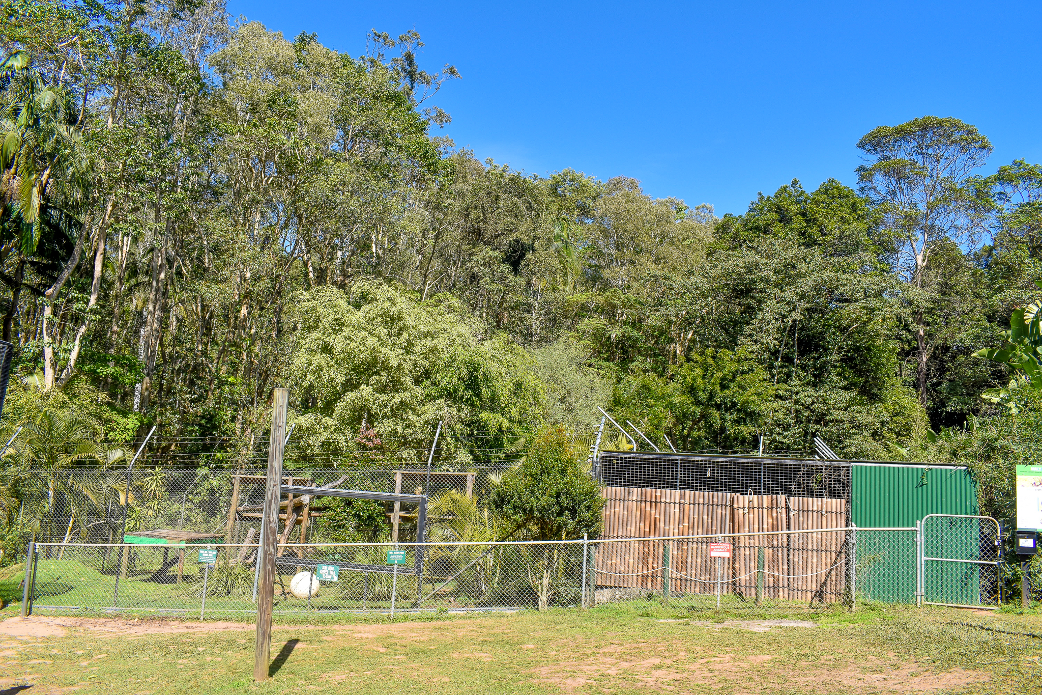 Sun Bear Enclosure (front view)