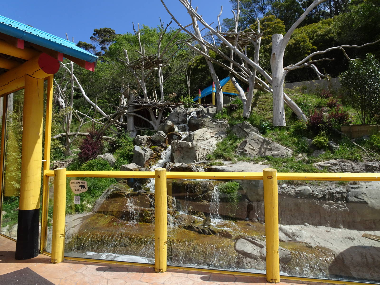 Sun Bear Enclosure, November 2015