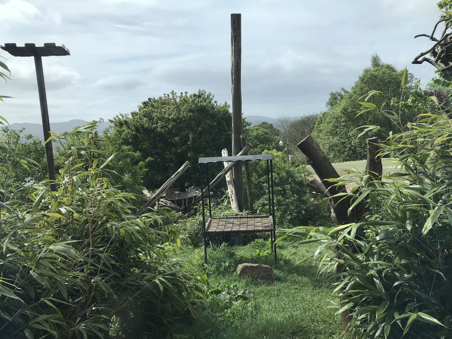 Sun bear enclosure upper area