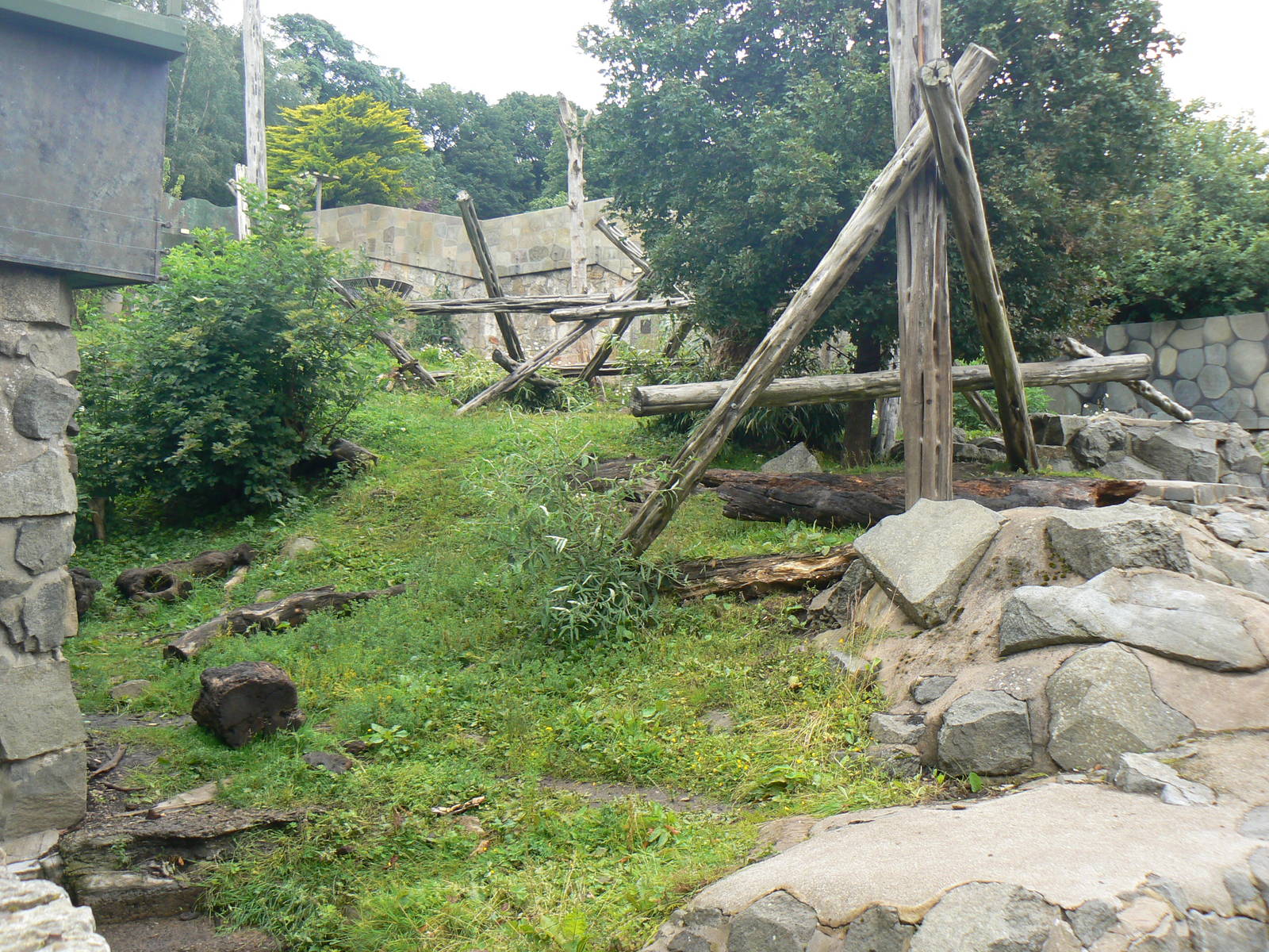 Sun Bear Enclosure