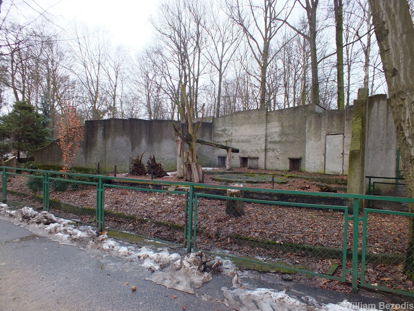 Sun Bear Enclosure (?)
