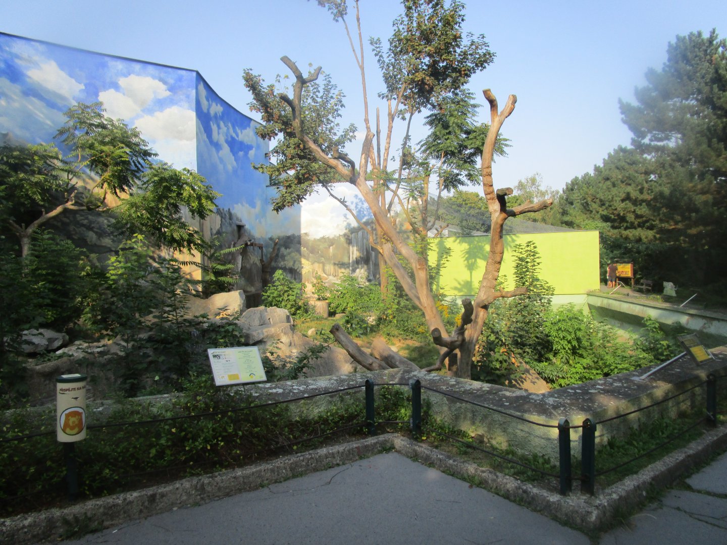 Sun Bear Enclosure