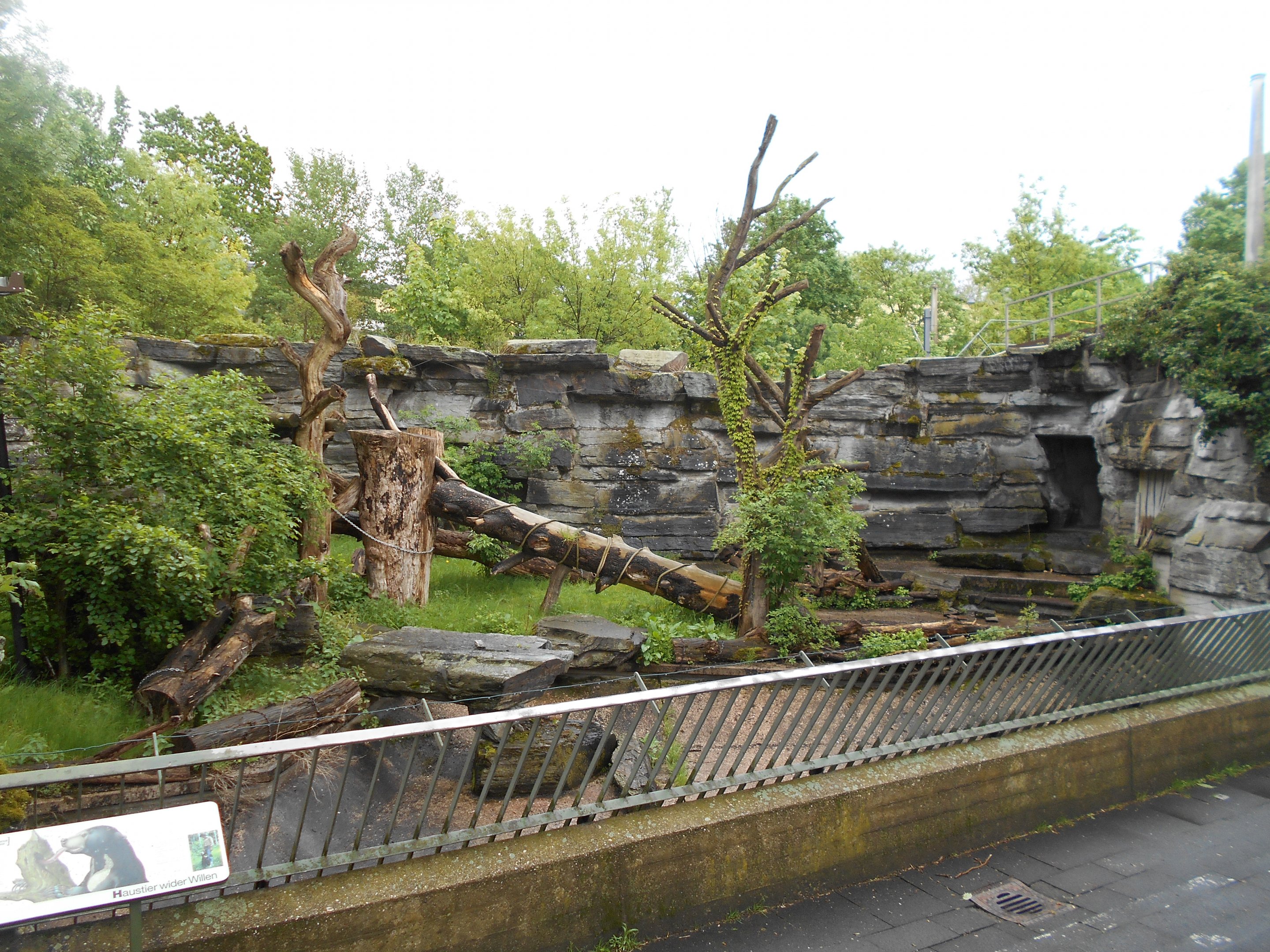Sun Bear enclosure