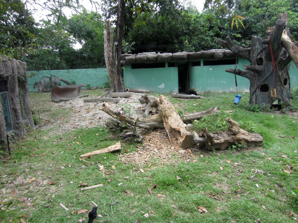 Sun Bear enclosure