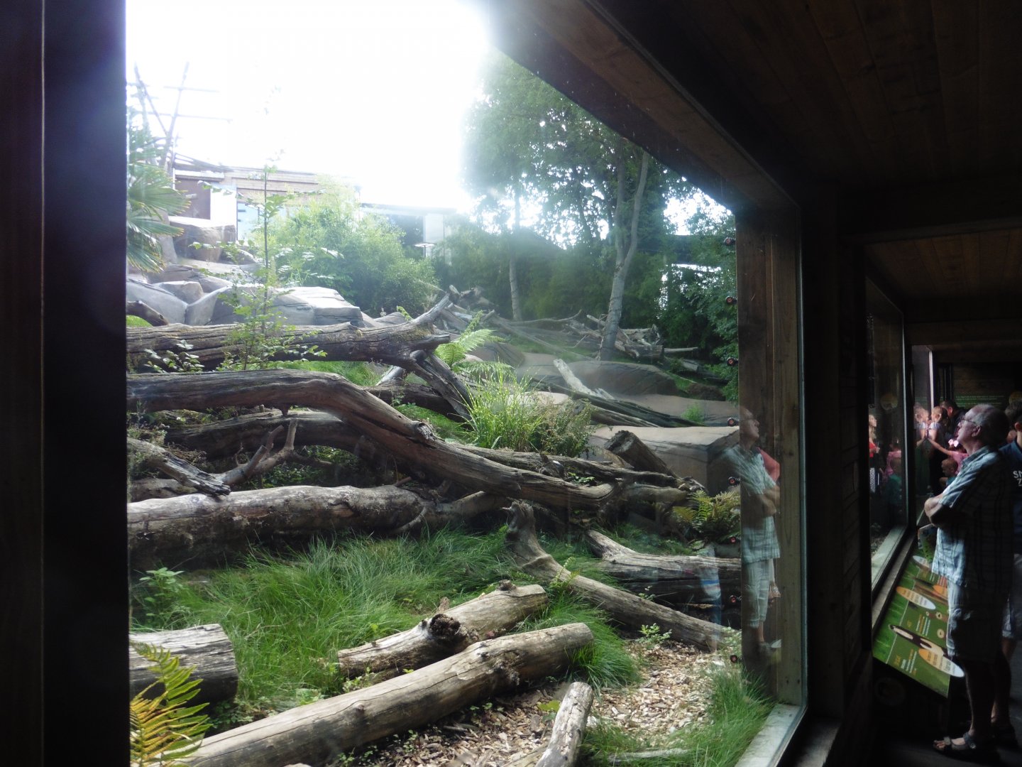 Sun Bear Enclosure