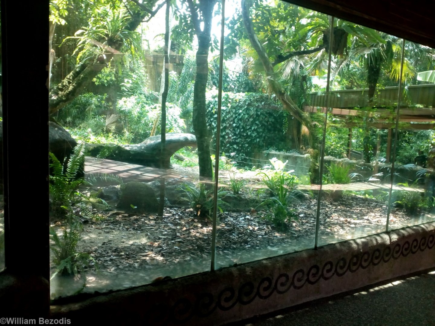 Sun Bear Enclosure