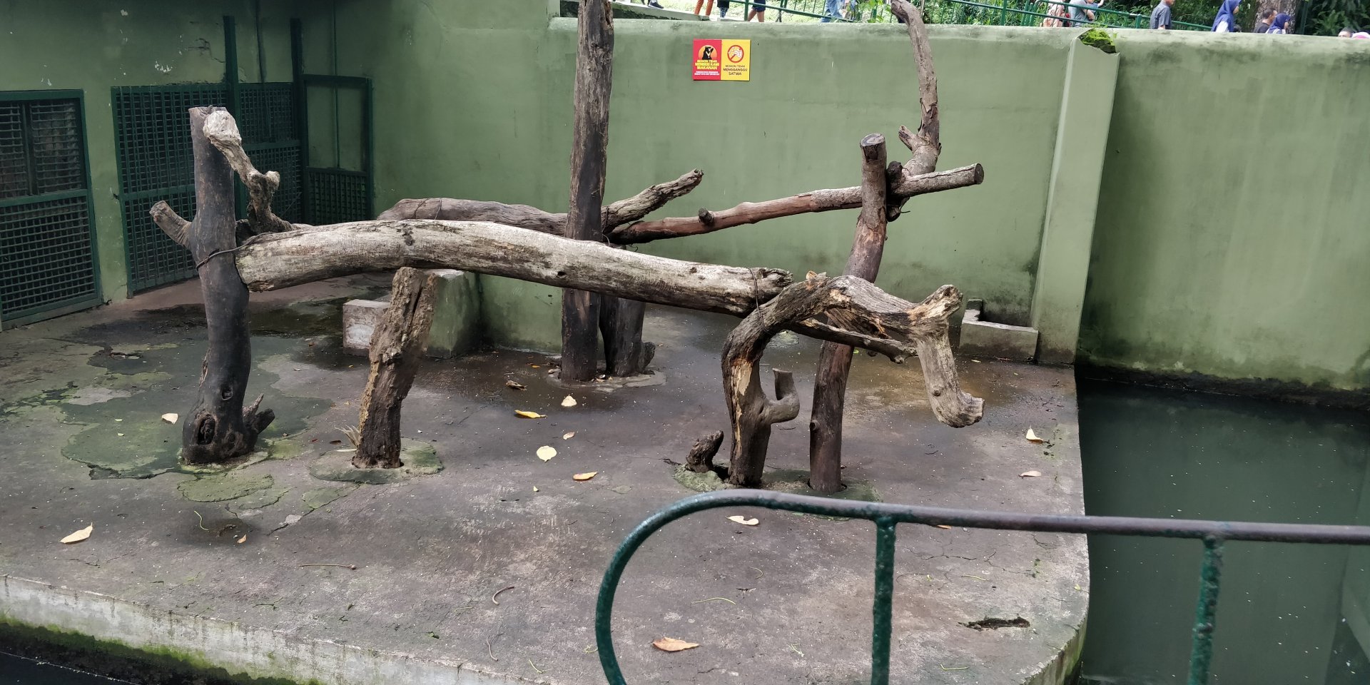 Sun bear enclosure