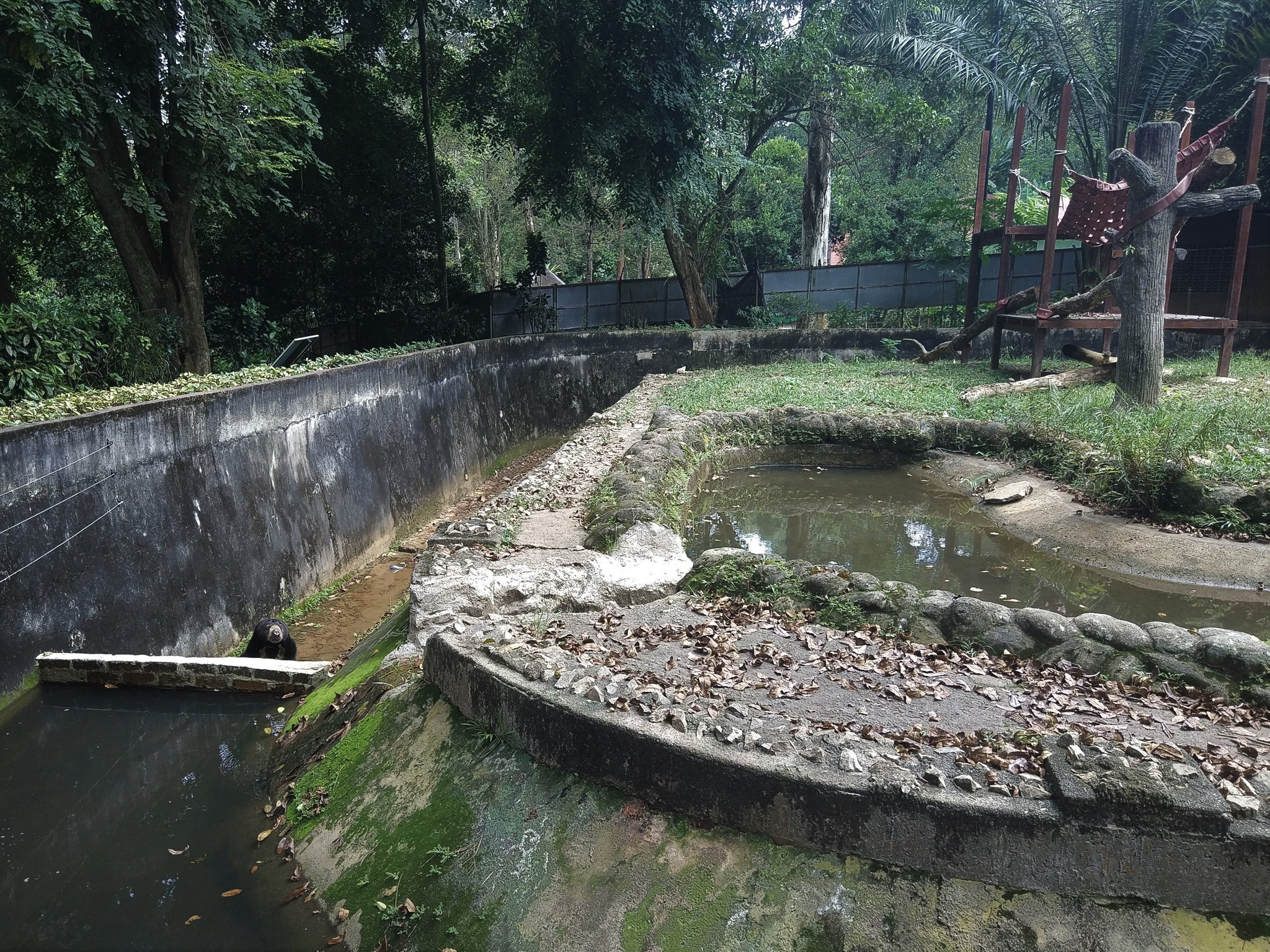 Sun Bear Enclosure