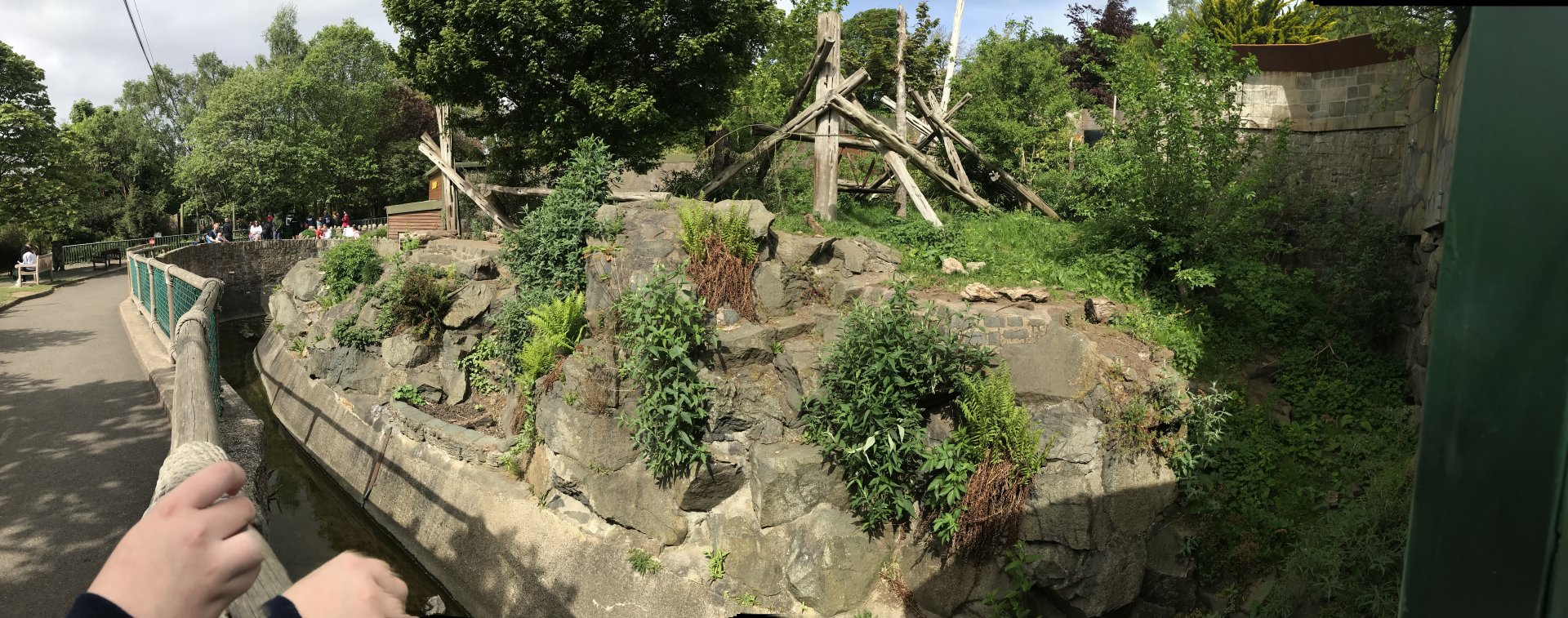 Sun bear enclosure