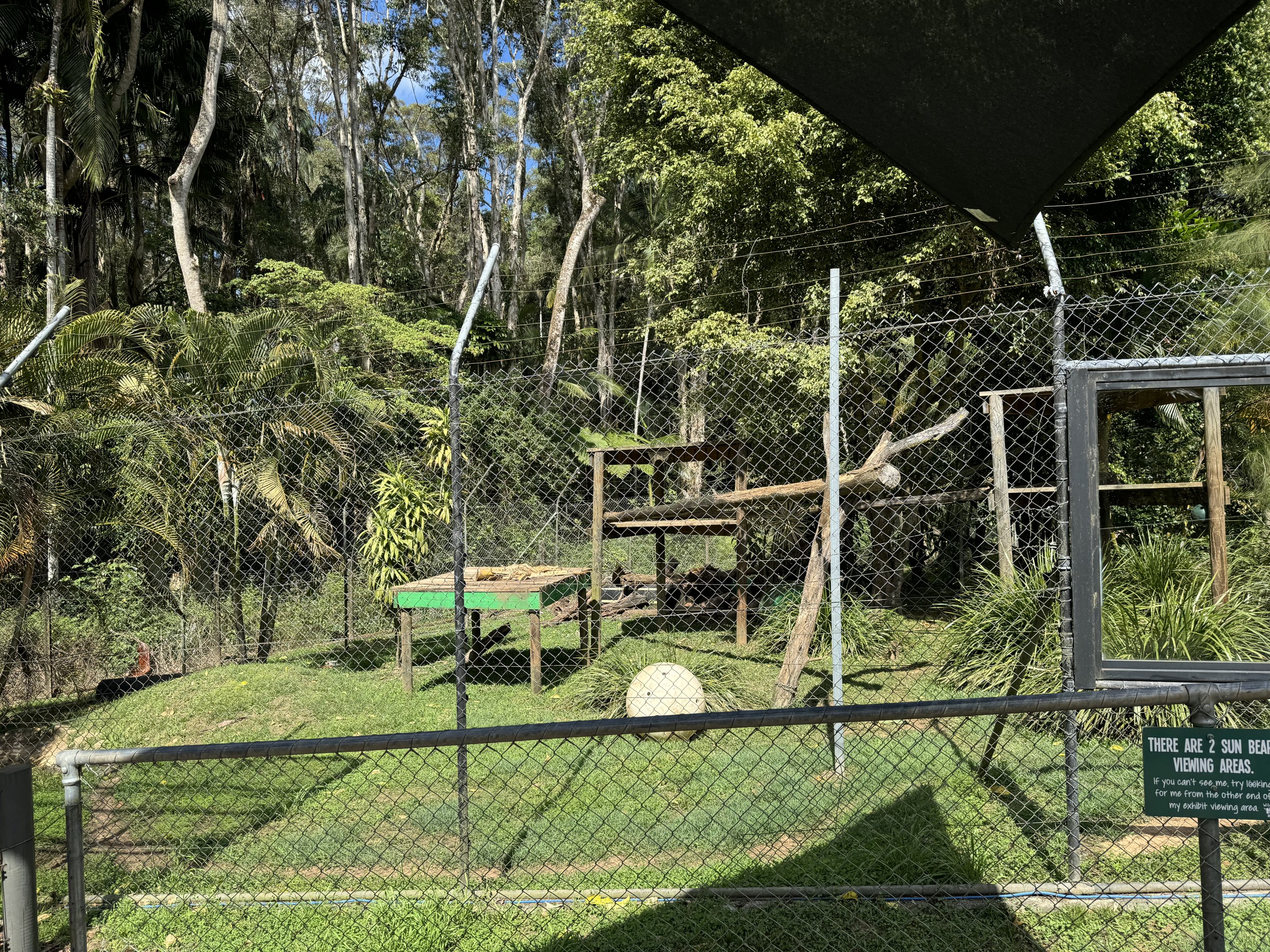 Sun bear enclosure