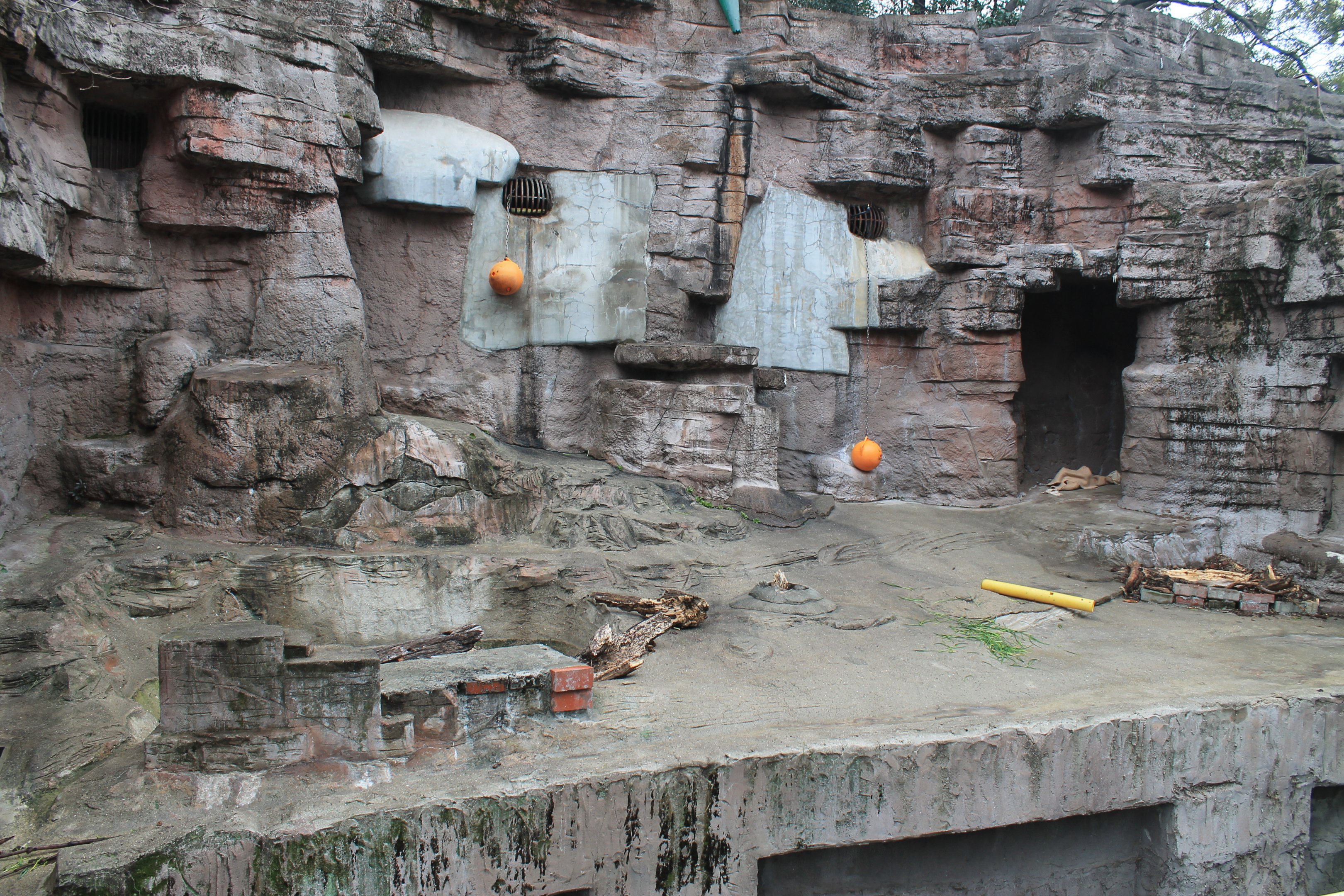 Sun Bear enclosure