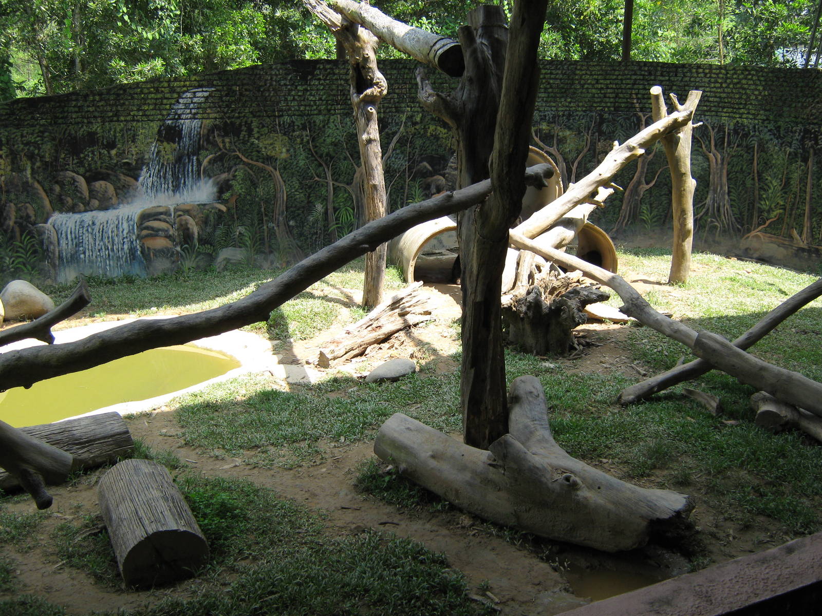 sun bear enclosure