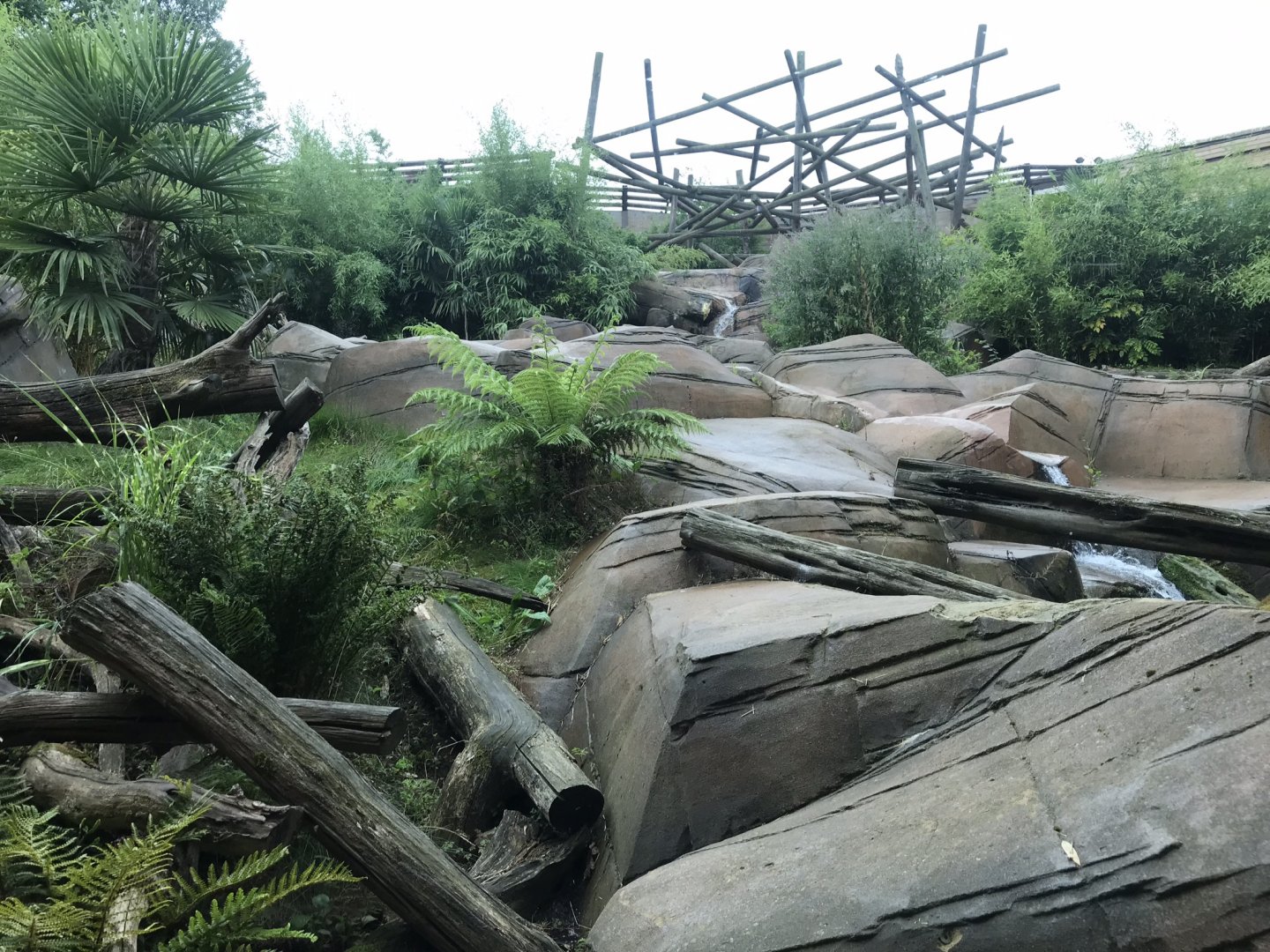 Sun bear exhibit 050819
