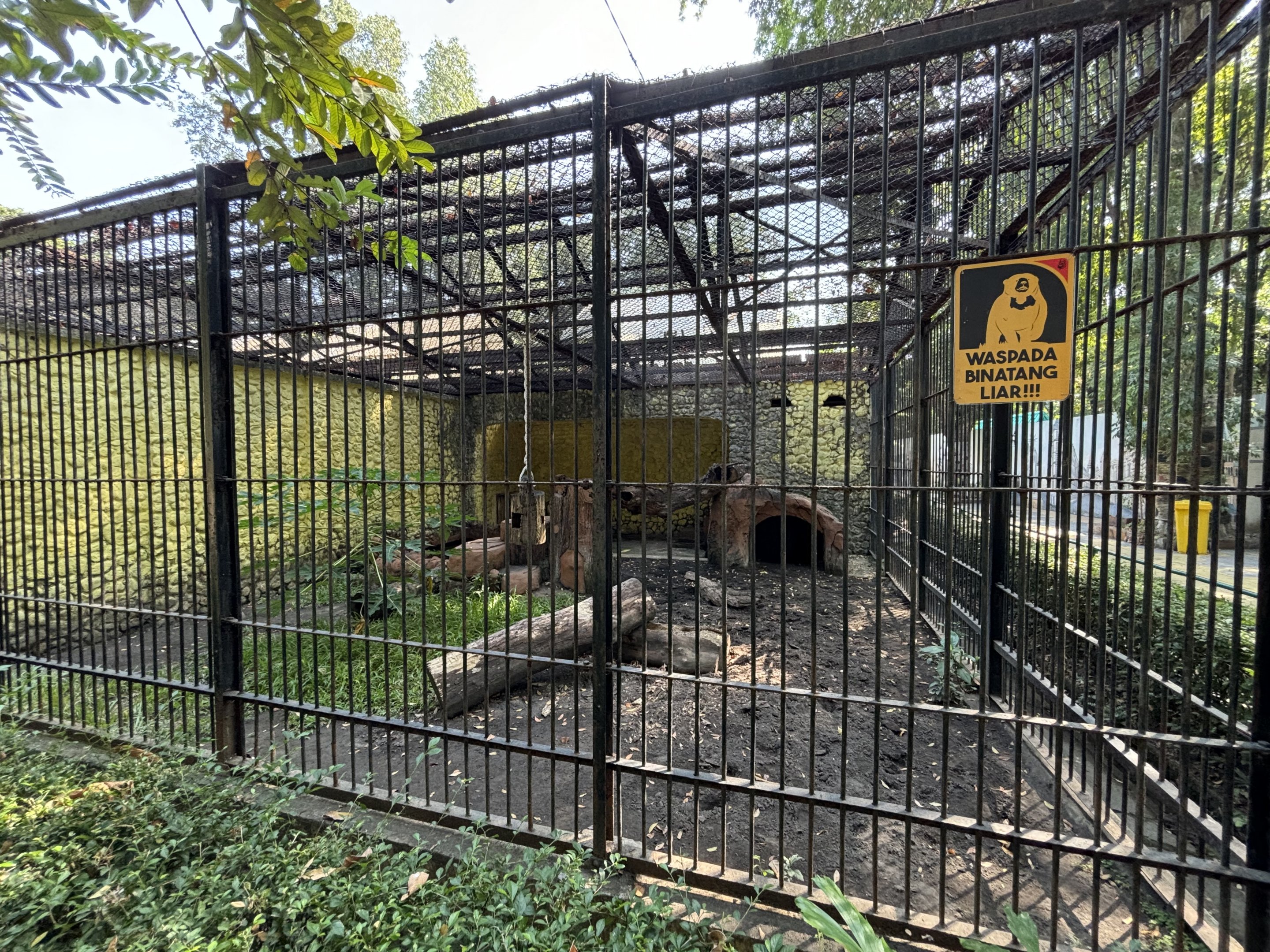 Sun Bear Exhibit #1
