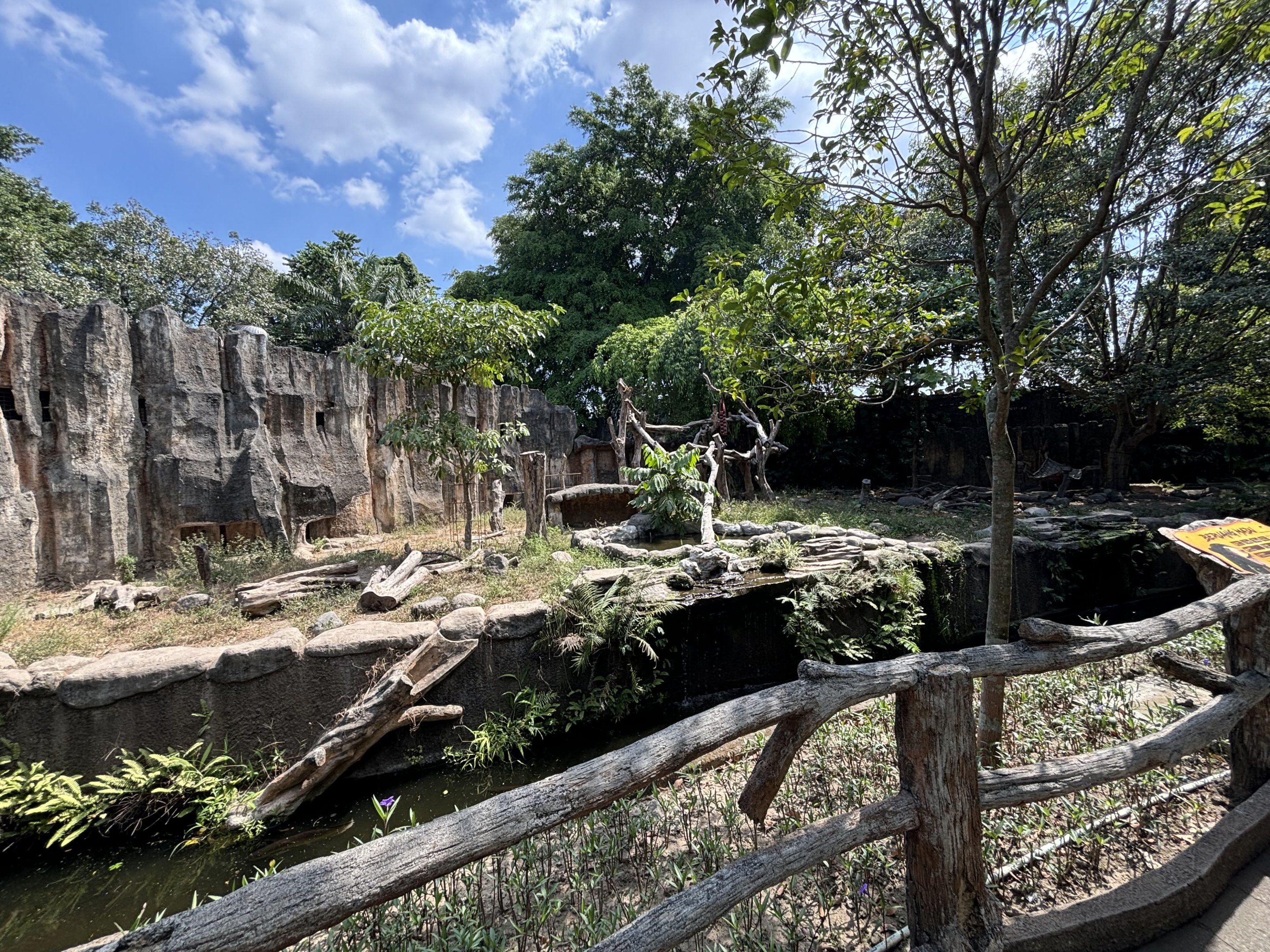 Sun Bear Exhibit #1
