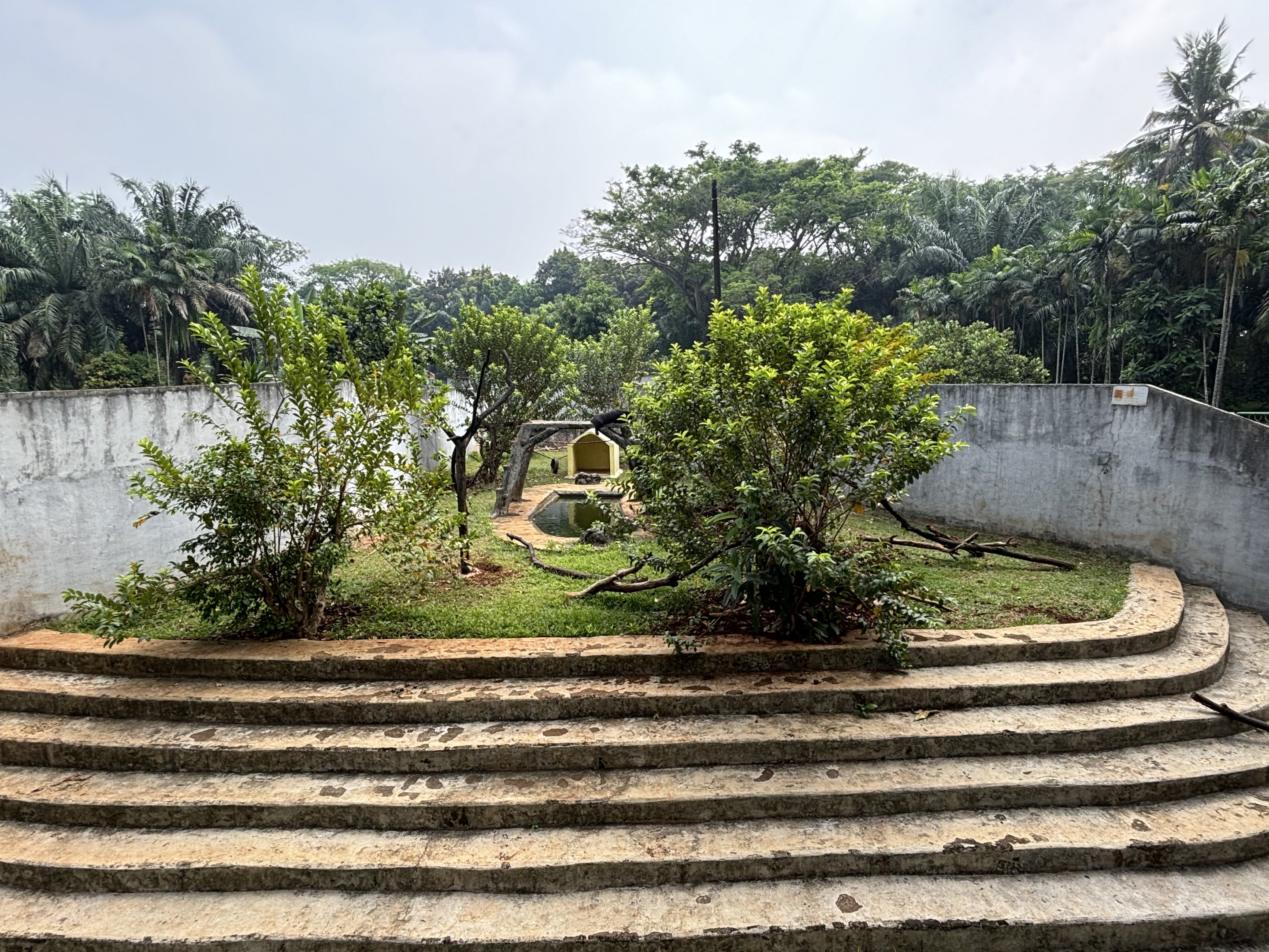 Sun Bear Exhibit #11