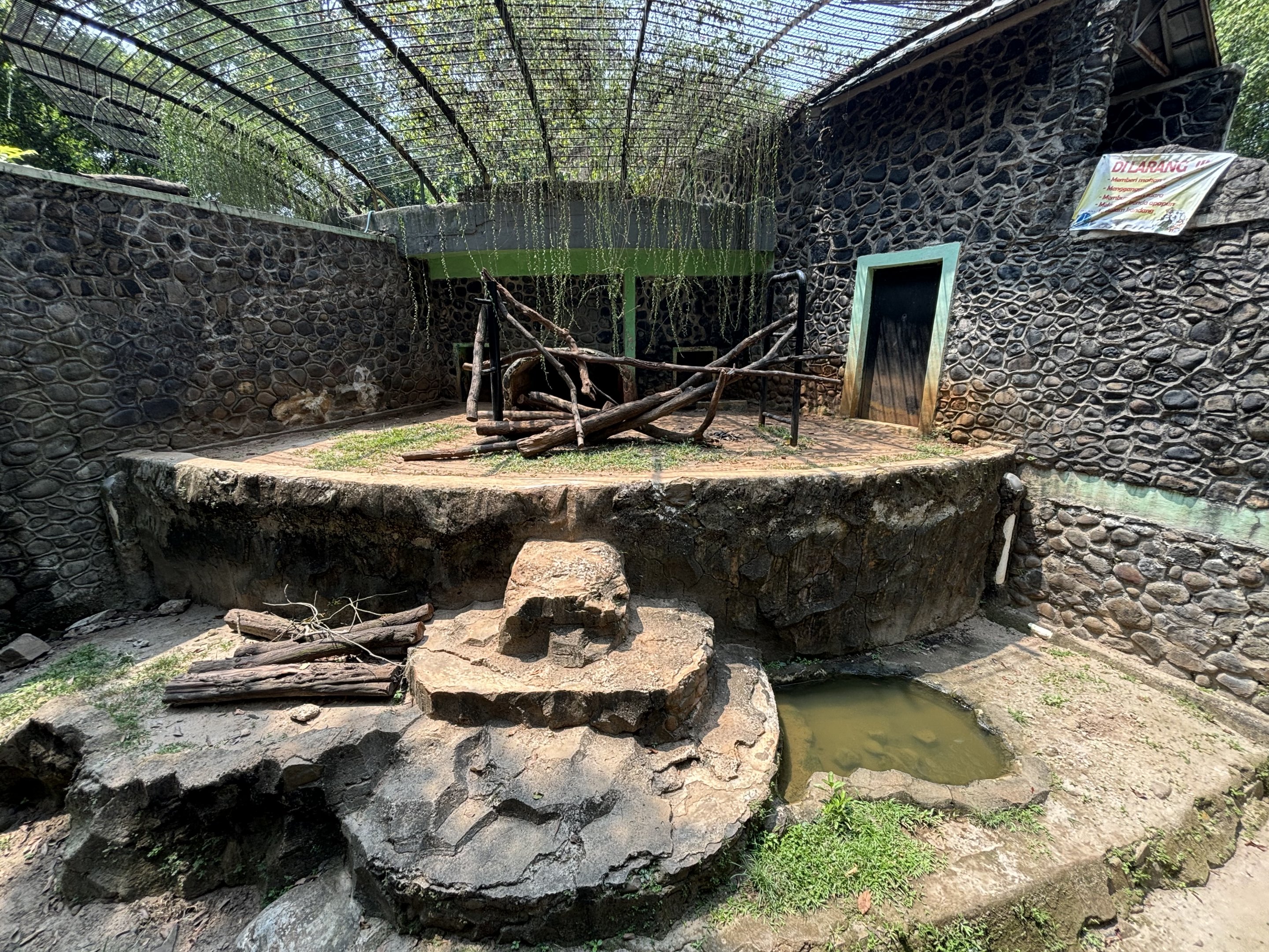 Sun Bear Exhibit #15