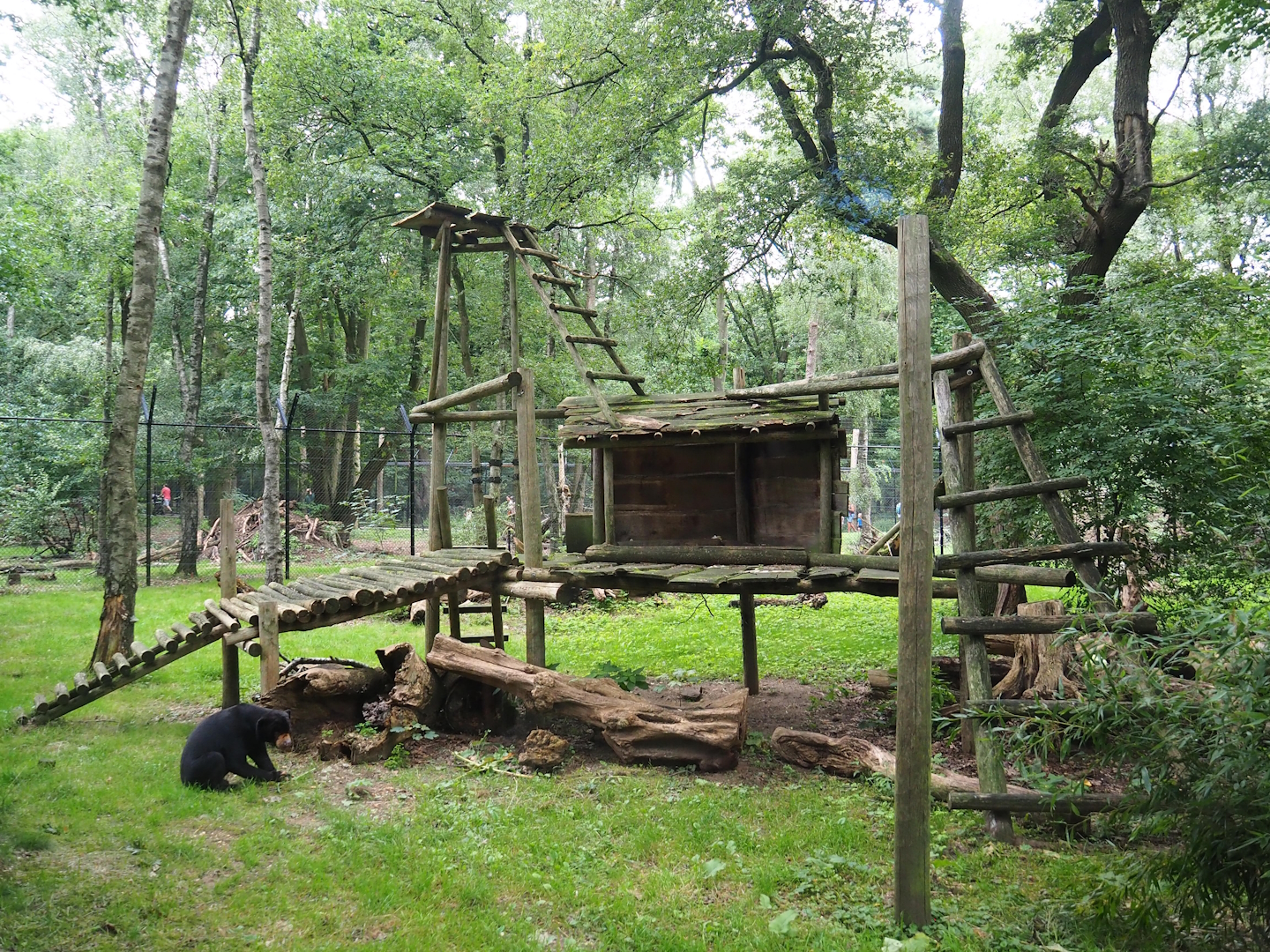 Sun bear exhibit, 2023-08-17