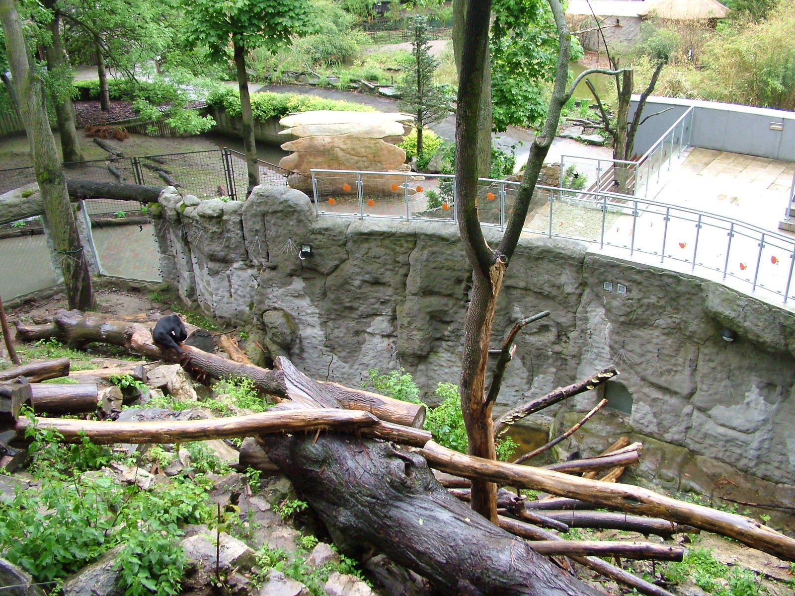 Sun Bear exhibit at Jihlava, 31/05/10