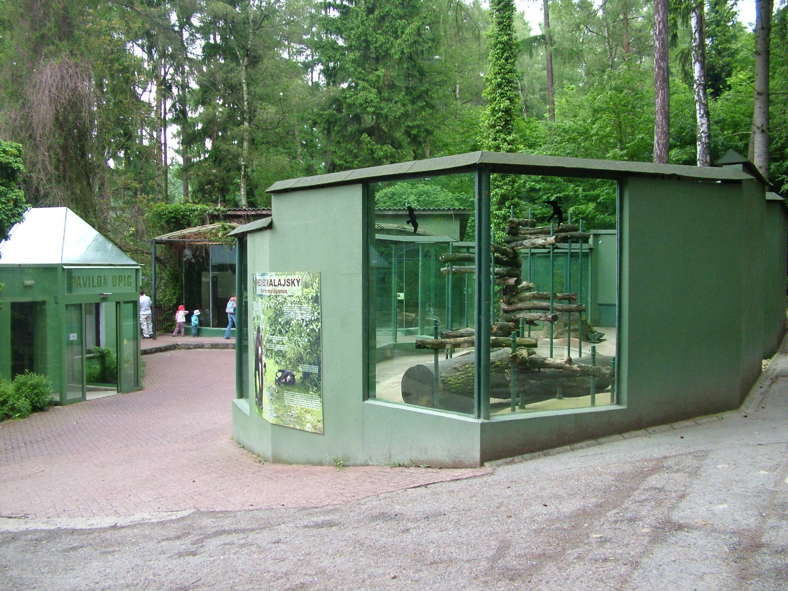 Sun Bear exhibit at Olomouc 30/05/10