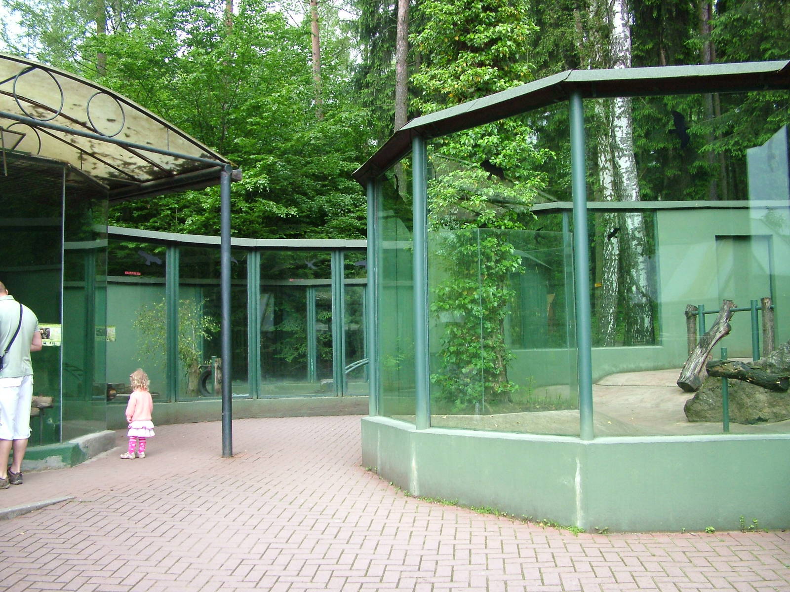 Sun Bear exhibit at Olomouc 30/05/10