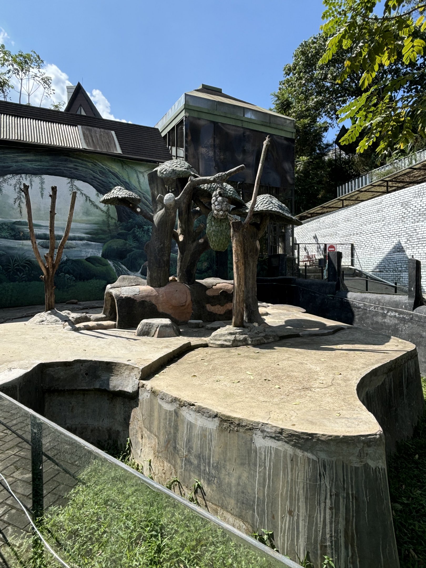 Sun Bear Exhibit - ghastly!