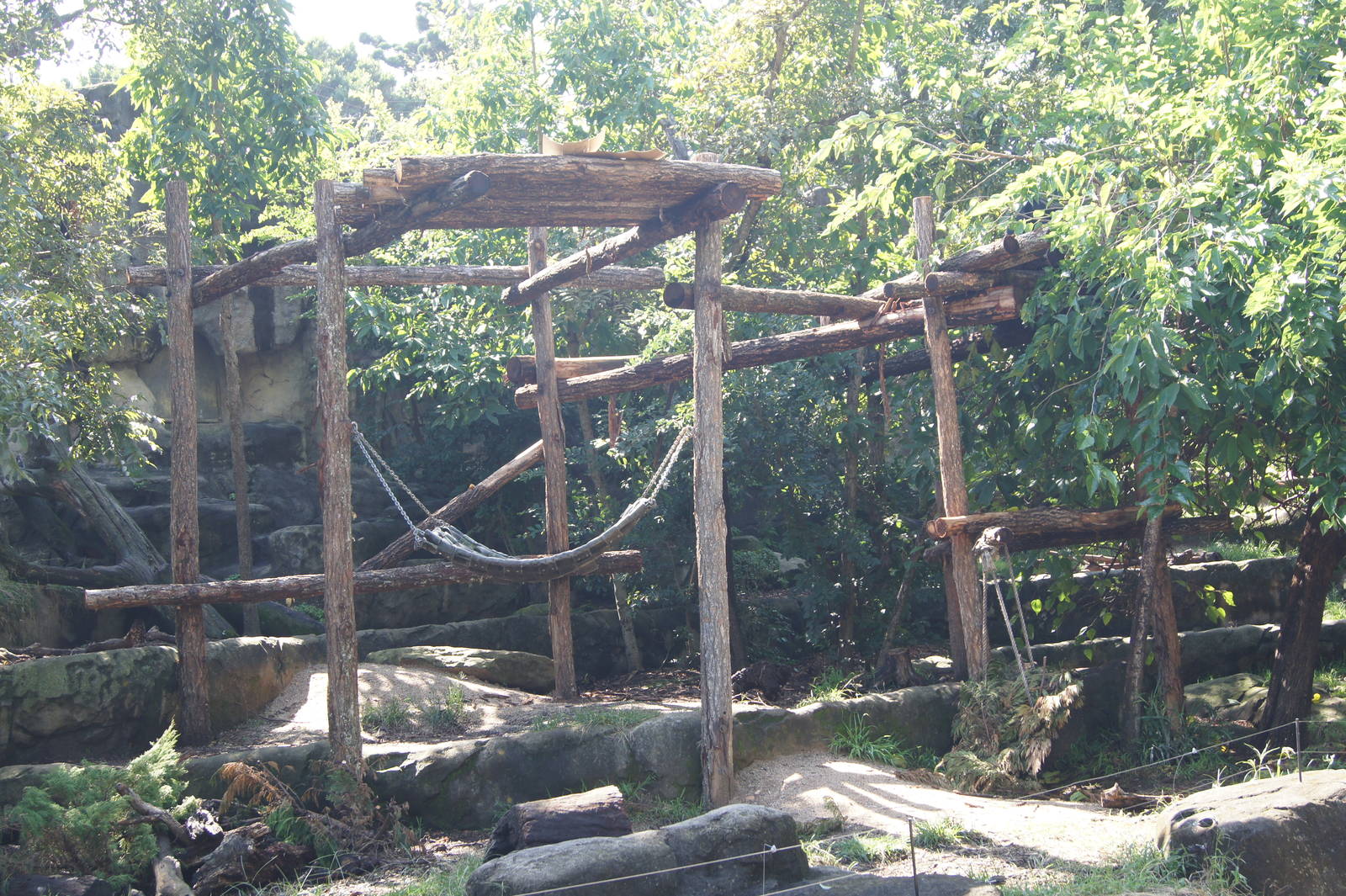Sun bear exhibit: new climbing structure