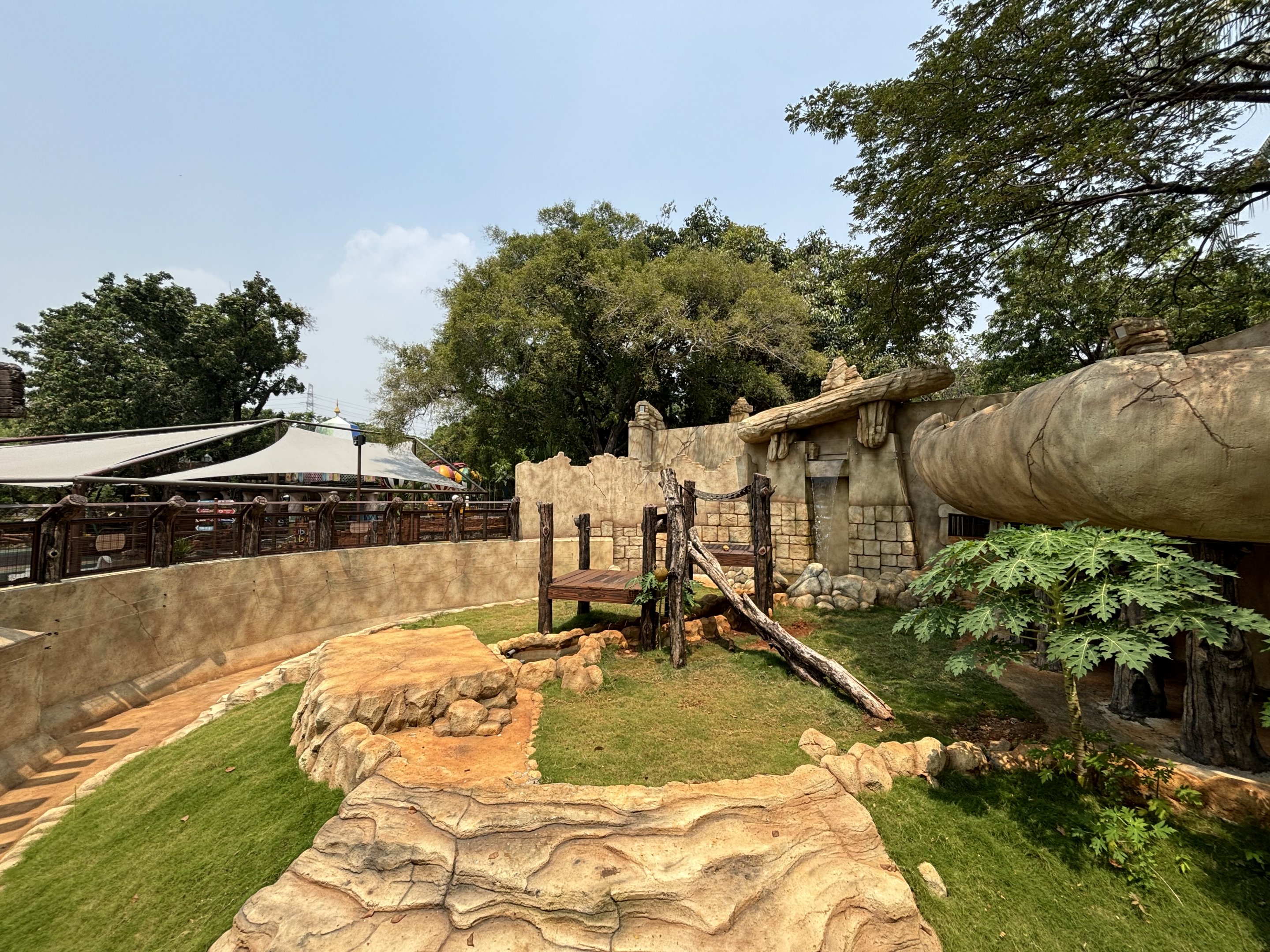 Sun Bear Exhibit - New in 2023