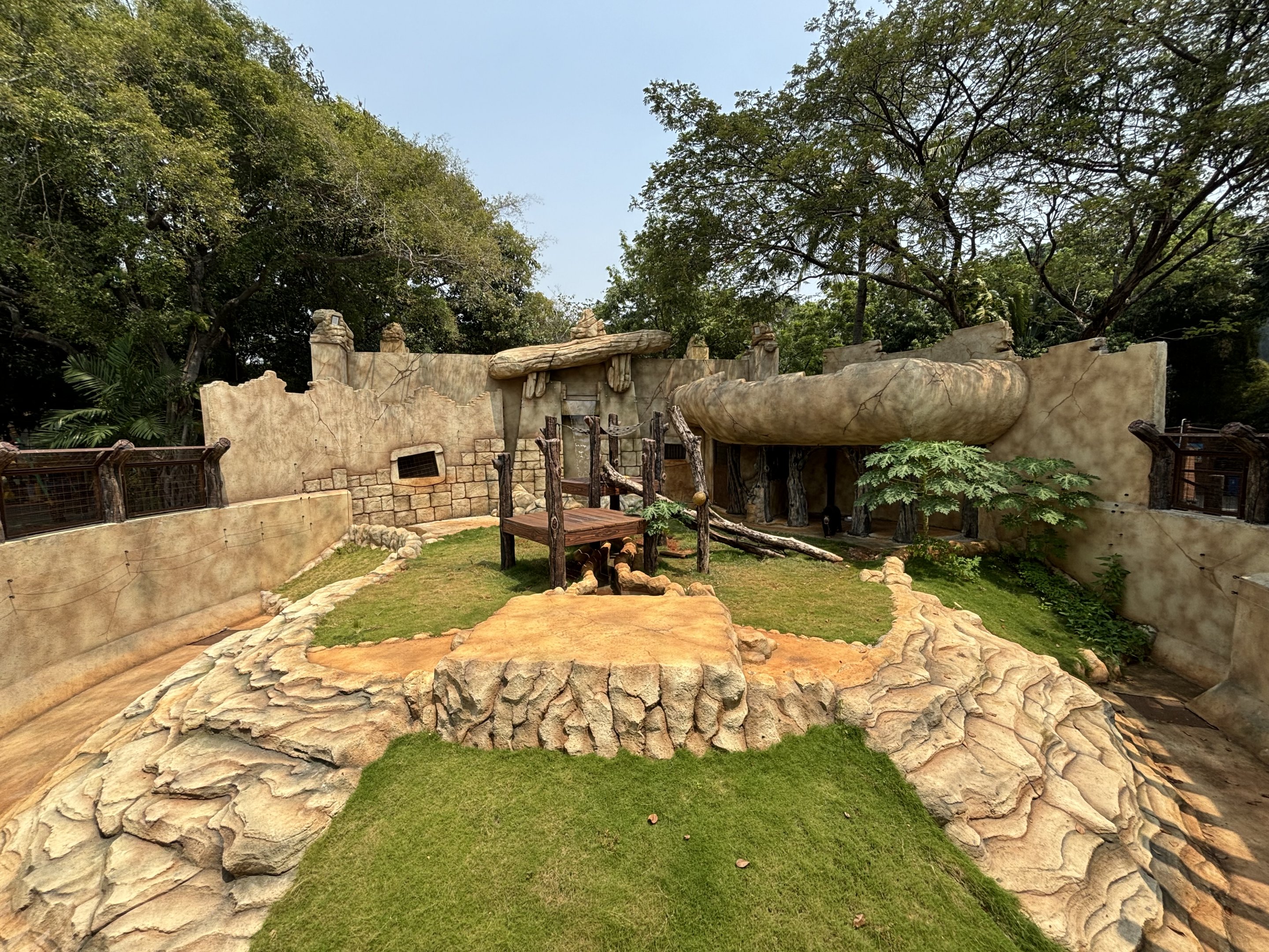 Sun Bear Exhibit - New in 2023