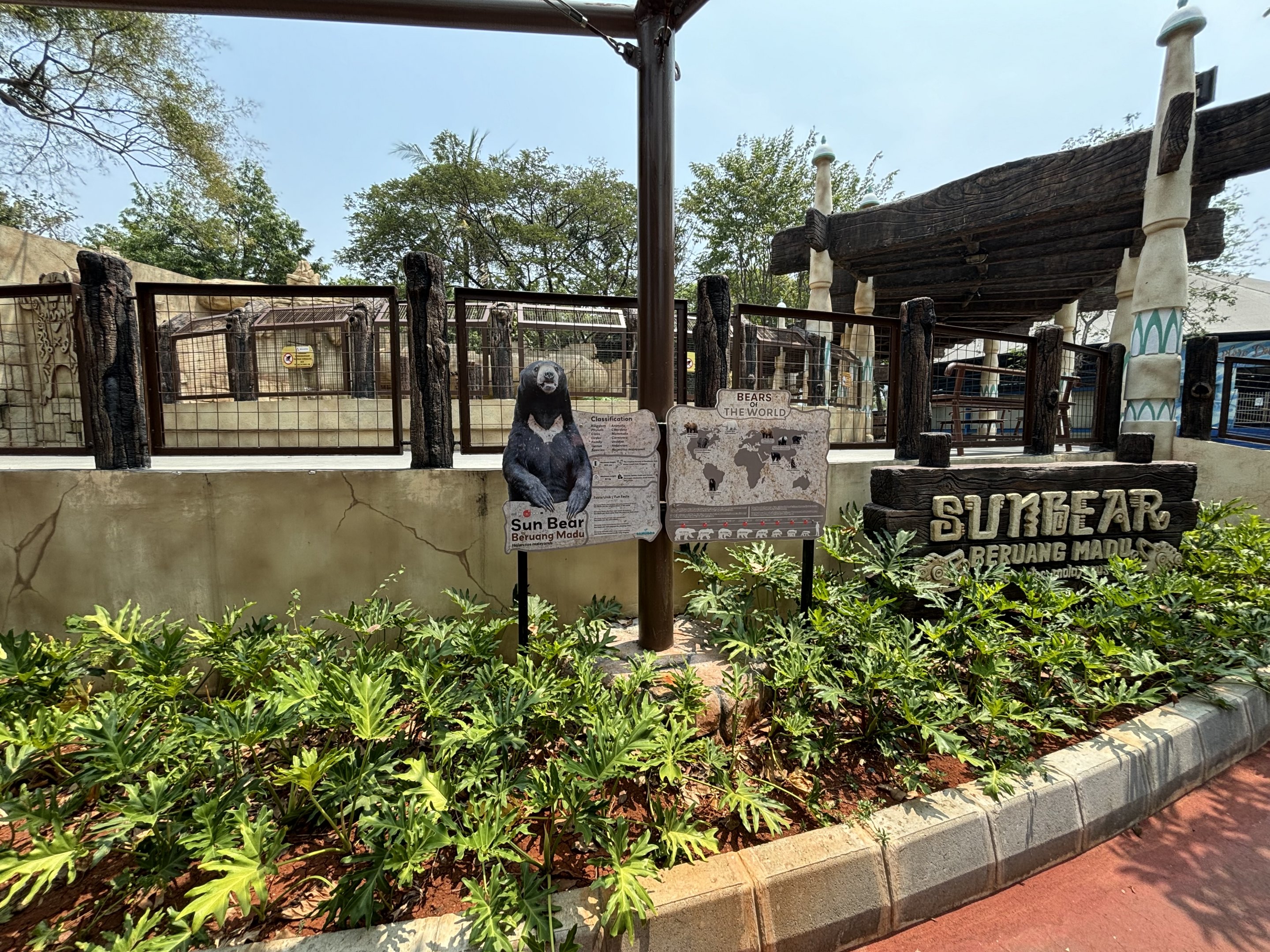 Sun Bear Exhibit - New in 2023