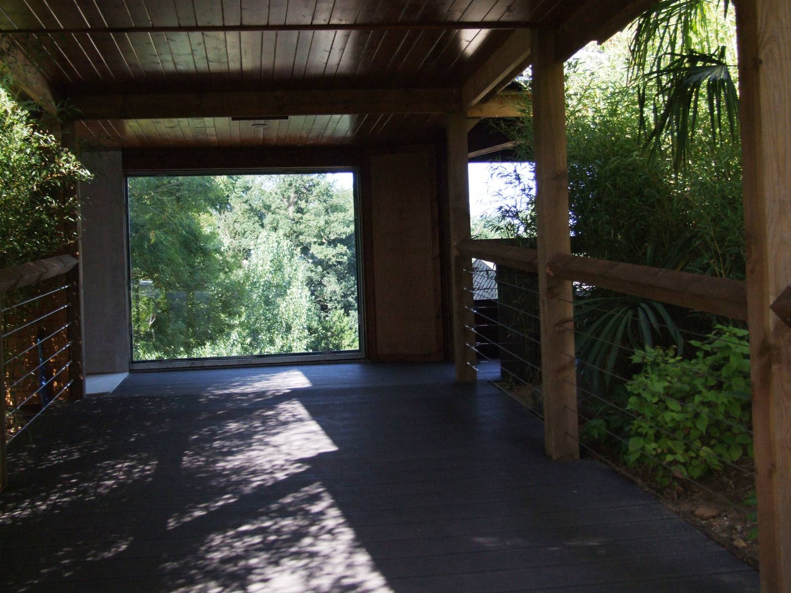 Sun Bear Exhibit Preview at Colchester, 31/08/13