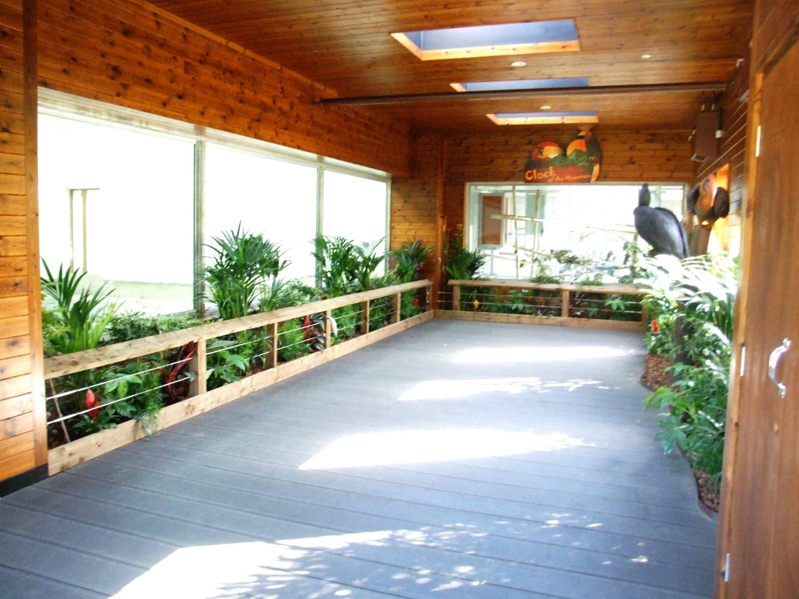 Sun Bear Exhibit Preview at Colchester, 31/08/13