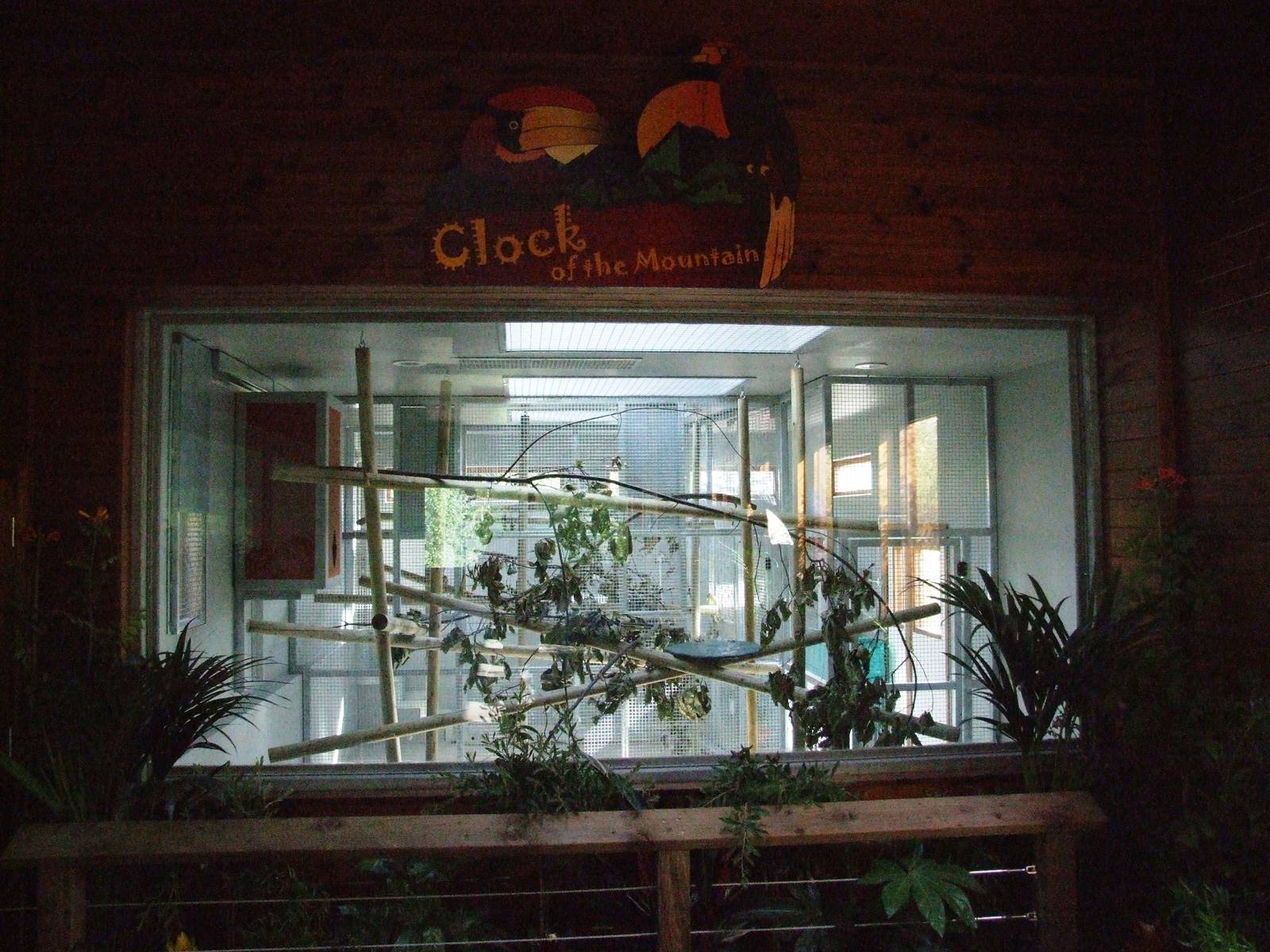 Sun Bear Exhibit Preview at Colchester, 31/08/13