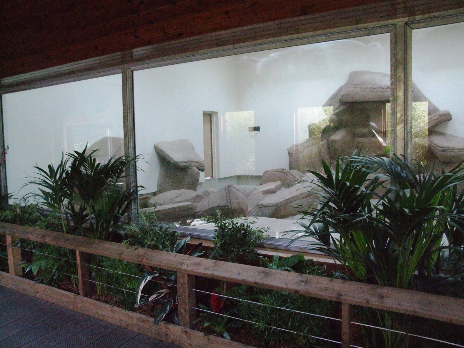 Sun Bear Exhibit Preview at Colchester, 31/08/13