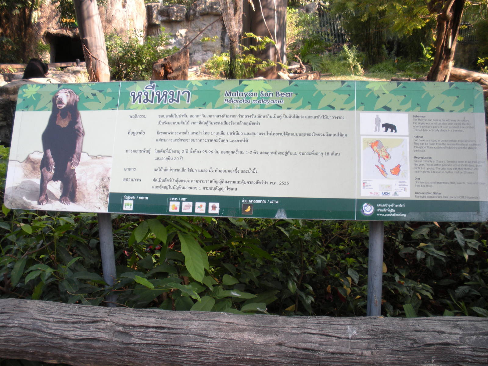 Sun Bear Exhibit signage