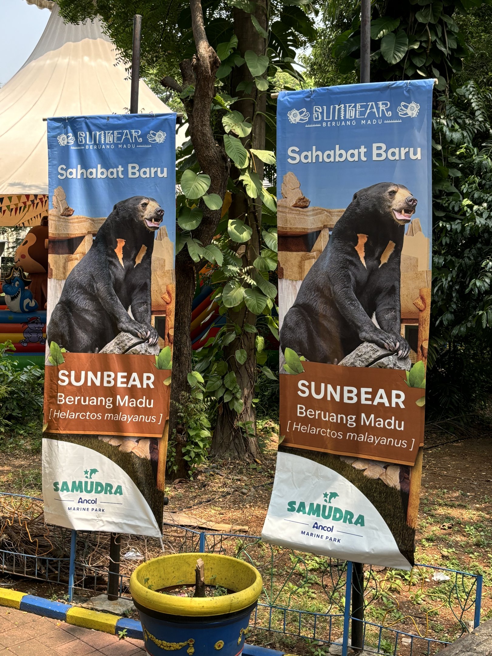 Sun Bear Exhibit Signs - New in 2023