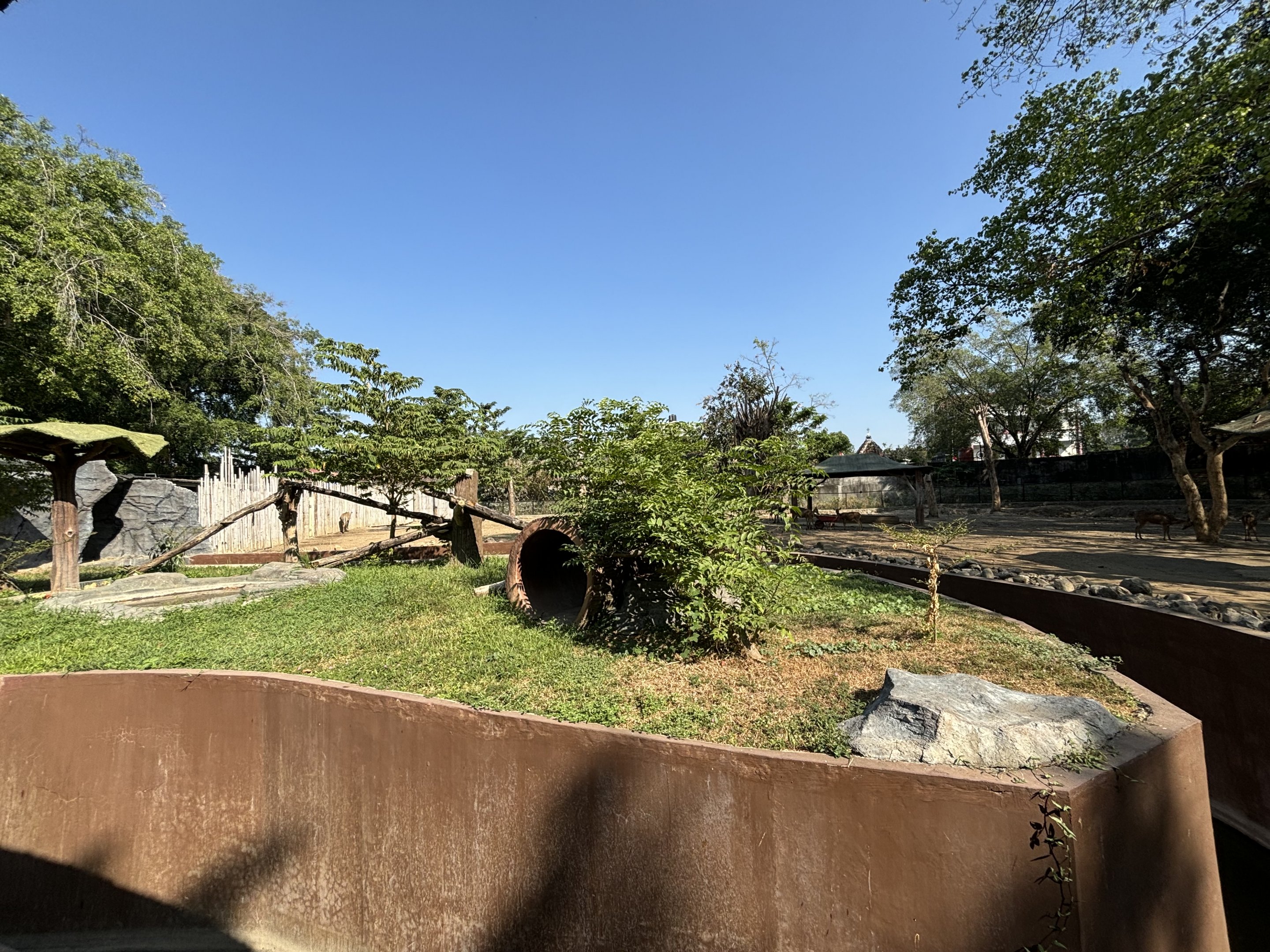 Sun Bear Exhibit - Solo Safari