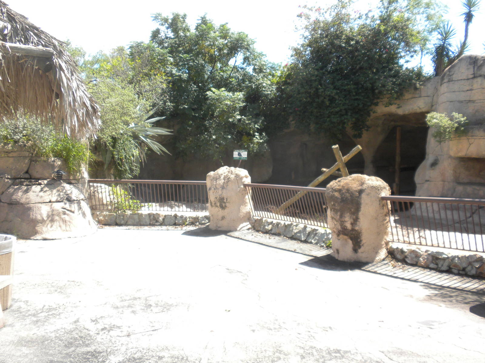 Sun Bear exhibit