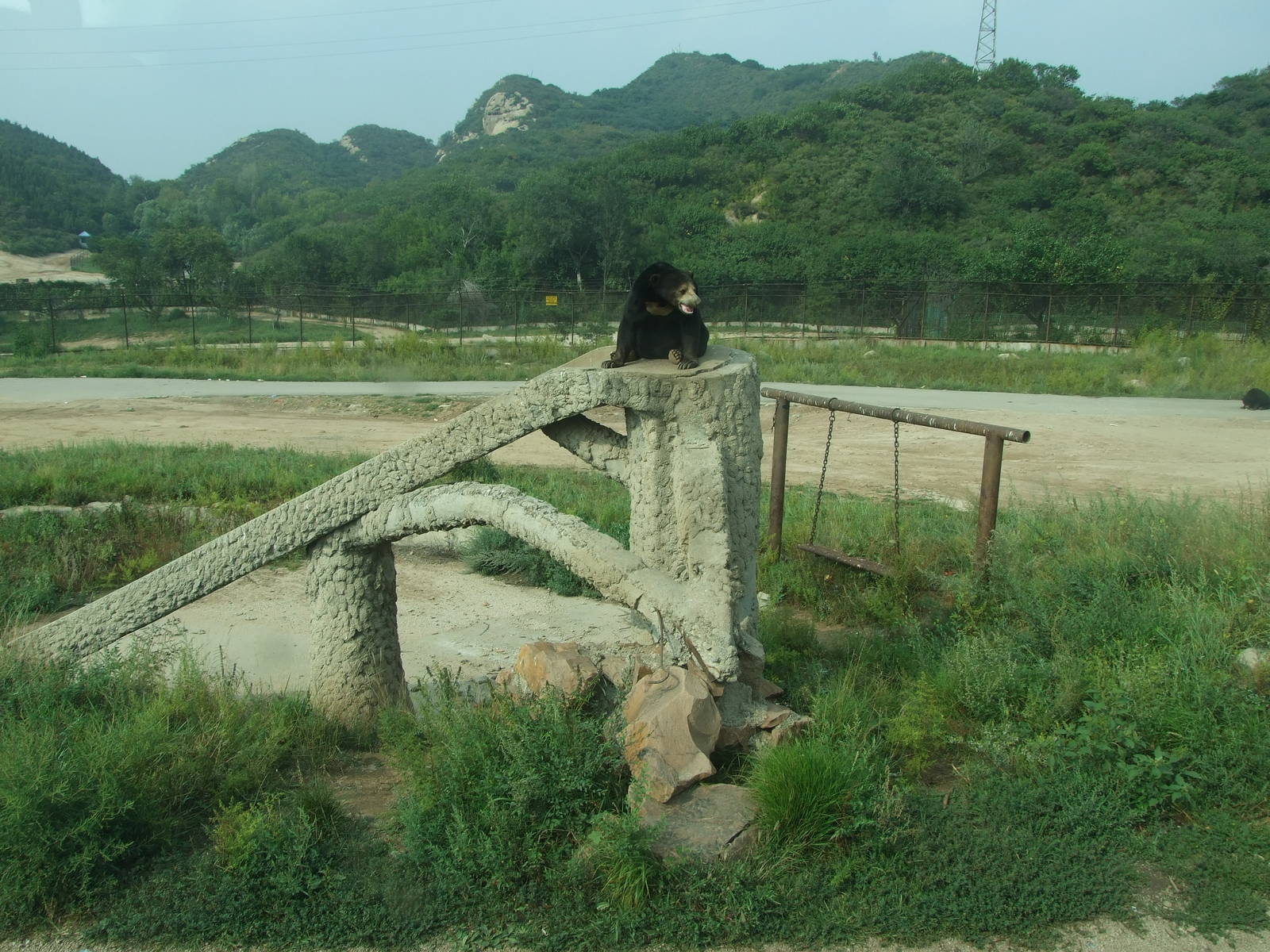 Sun bear exhibit